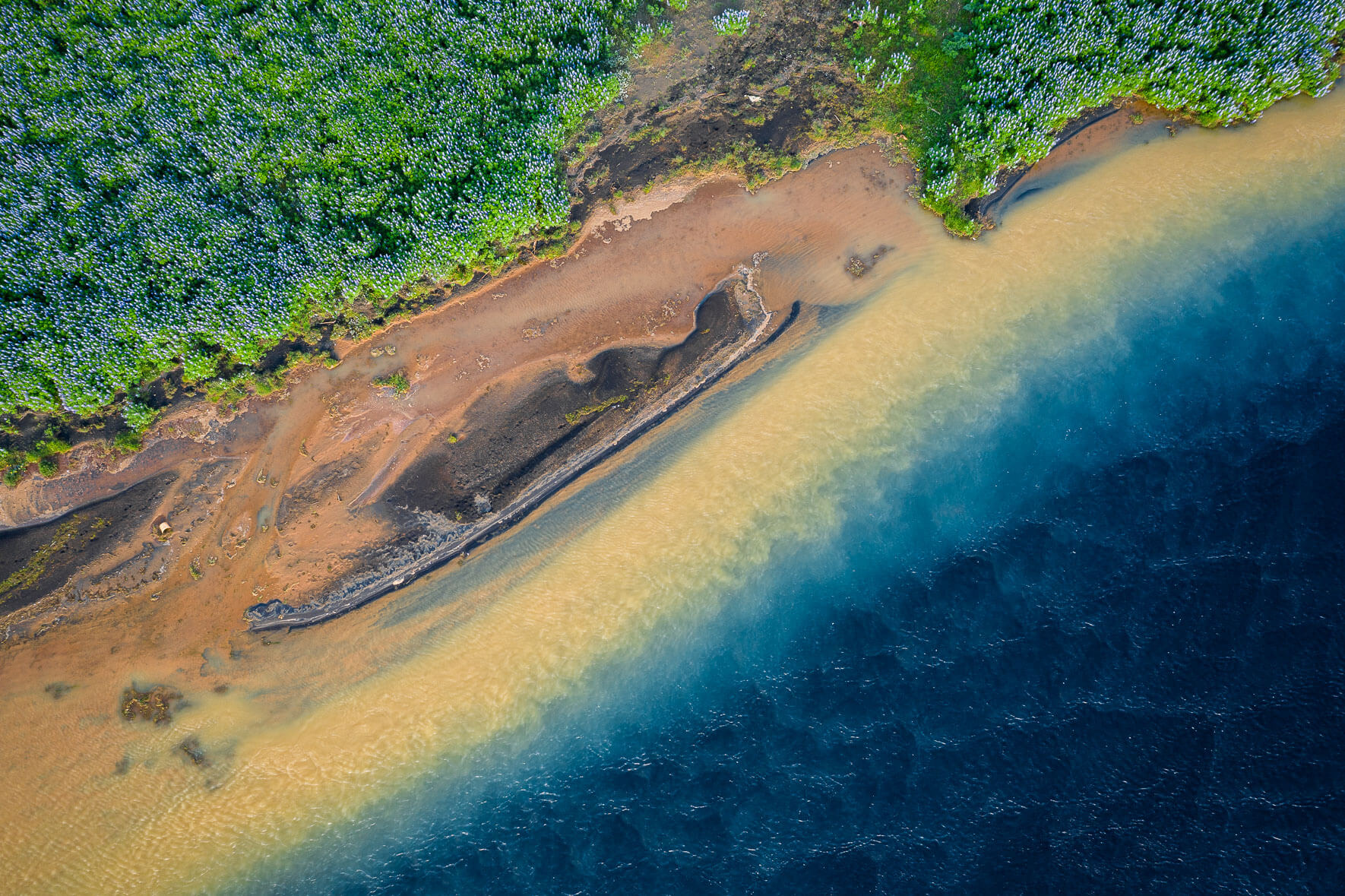 Colorful Holsa river near its mouth into the Atlantic Ocean on the south coast of Iceland