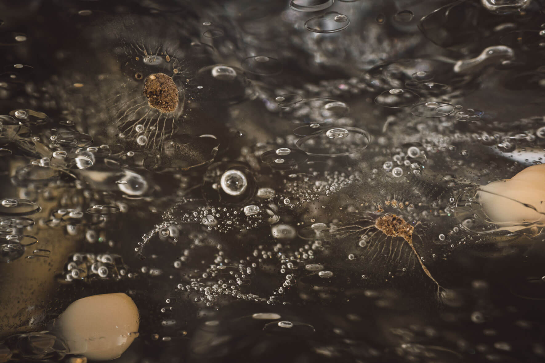 Macro photography of glacial ice in Iceland with air inclusions and sediments