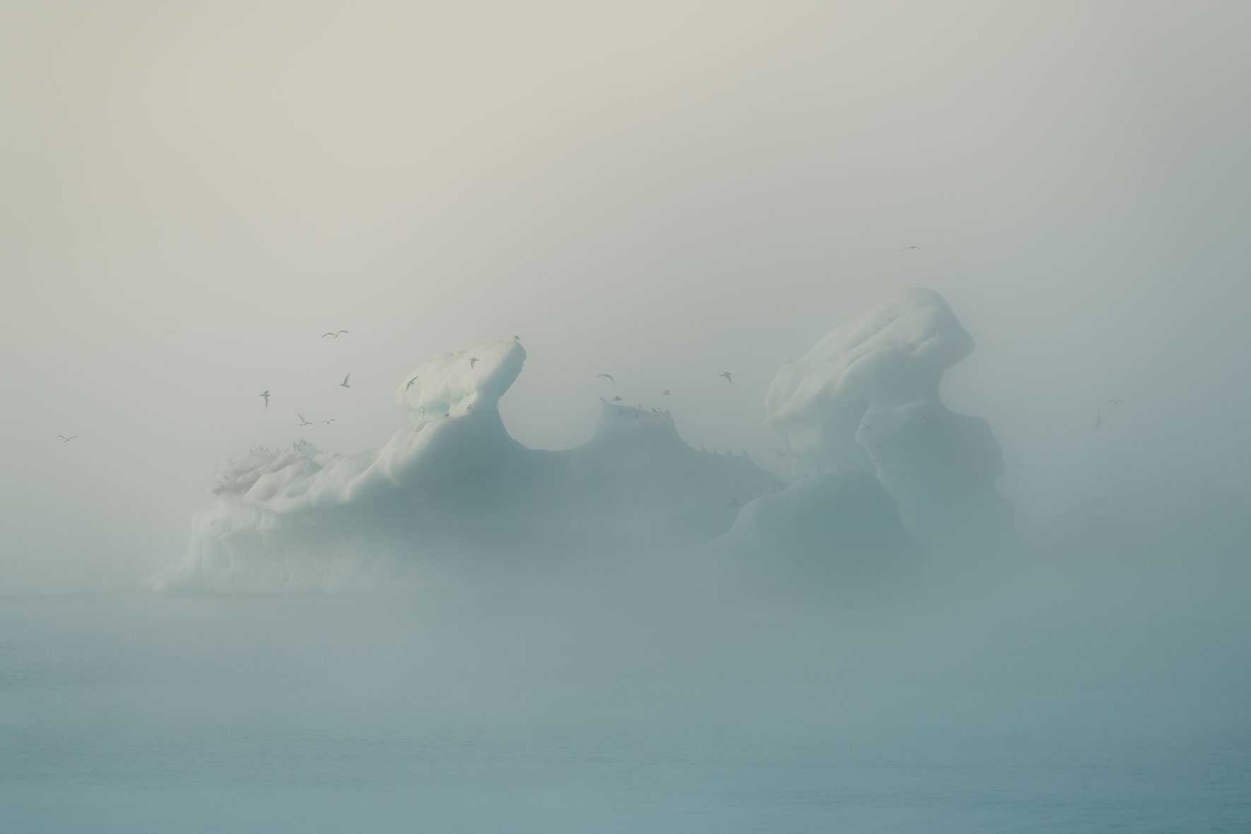 Iceberg with seagulls in Jökulsárlón glacier lagoon in Iceland surrounded by fog
