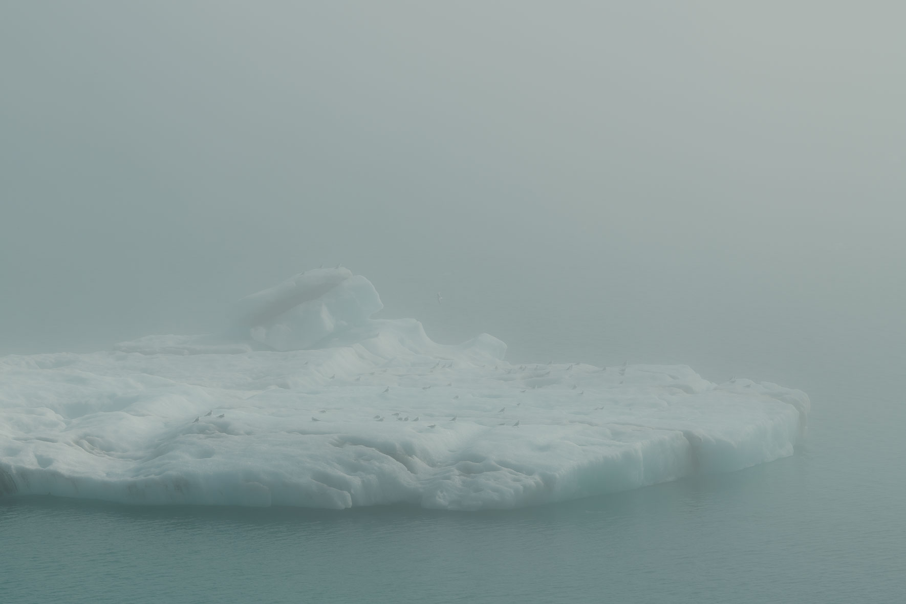 Iceberg in Jökulsárlón glacier lagoon in Iceland surrounded by dense sea fog