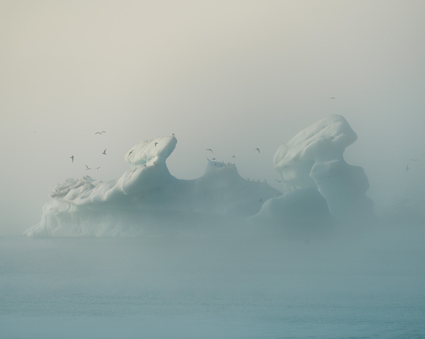 Iceberg with seagulls in Jökulsárlón glacier lagoon in Iceland surrounded by fog