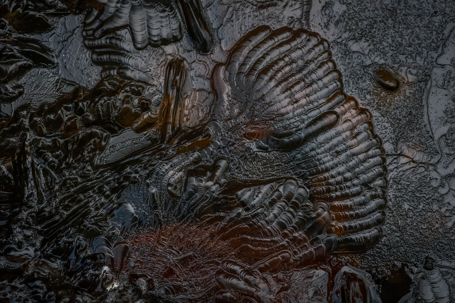 Dark macro photo of a frozen stream