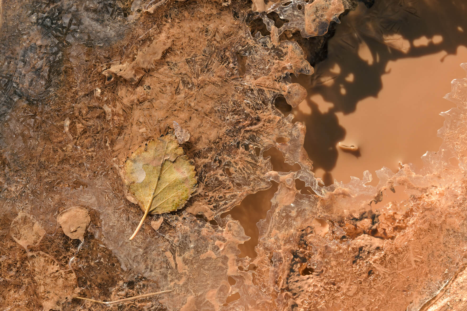 Macro photography of a frozen creek at Námafjall geothermal area in Iceland