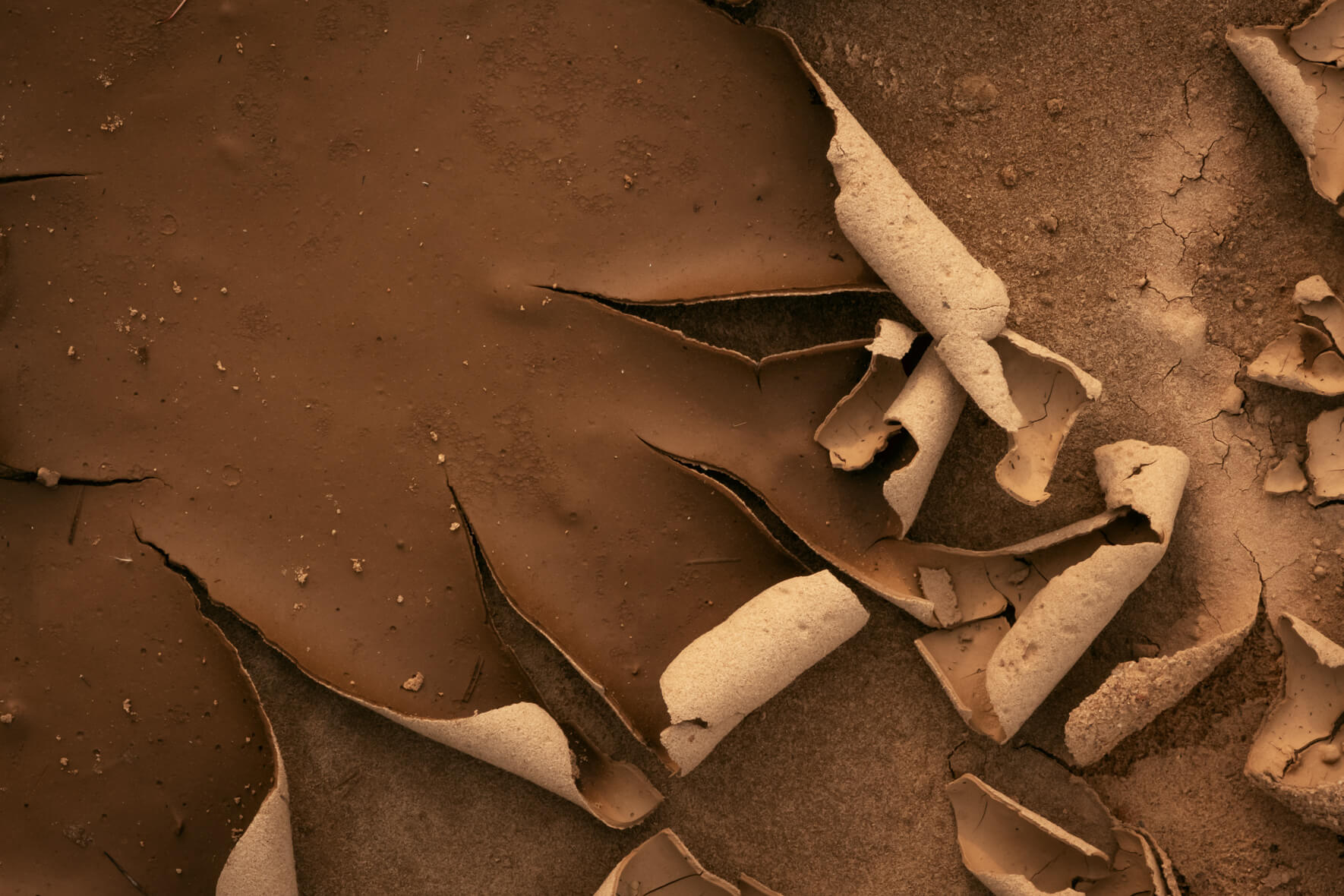 Close-up photograph of abstract patterns formed in dried mud