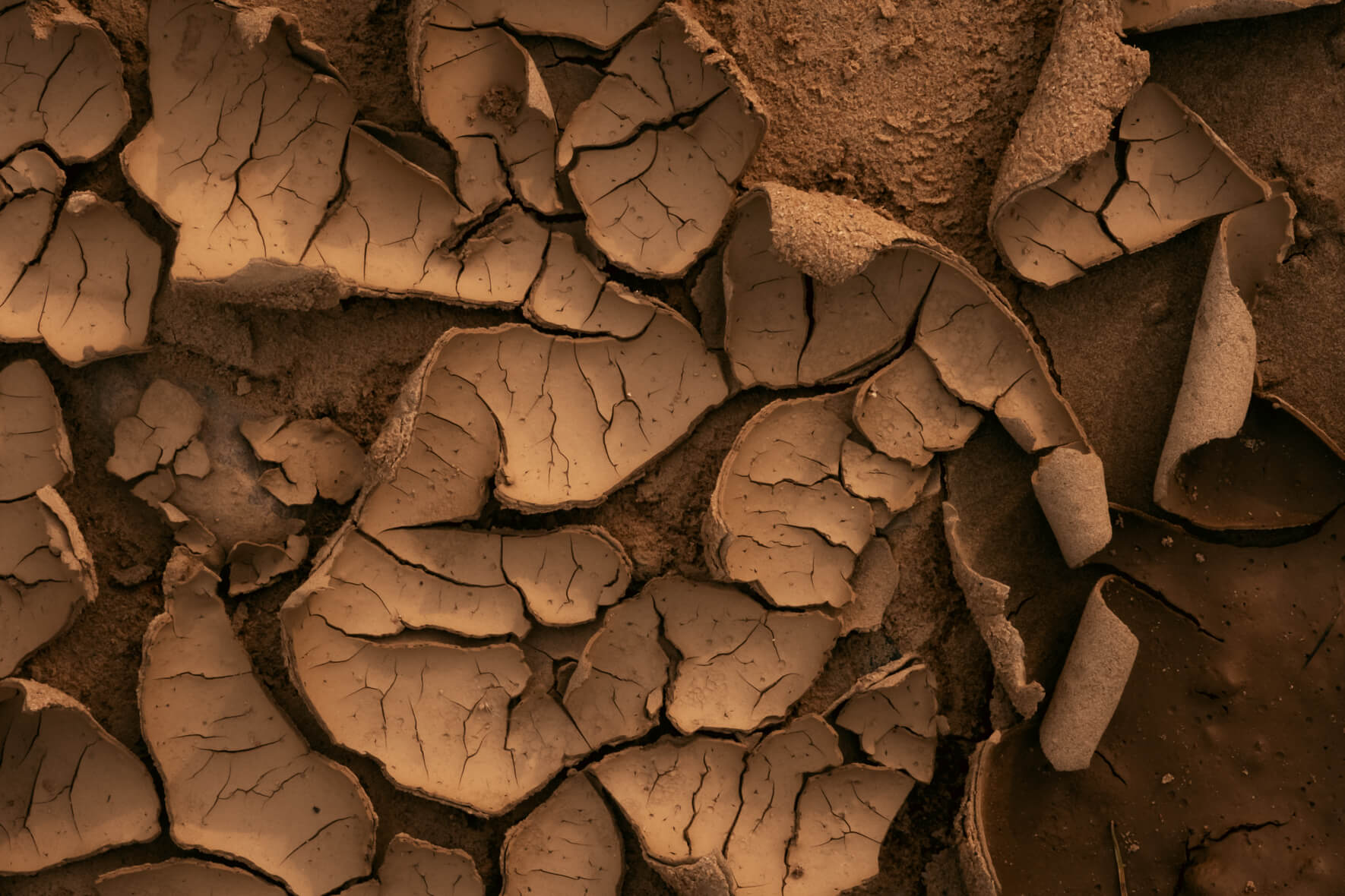 Close-up view of abstract patterns formed in dried mud and sand