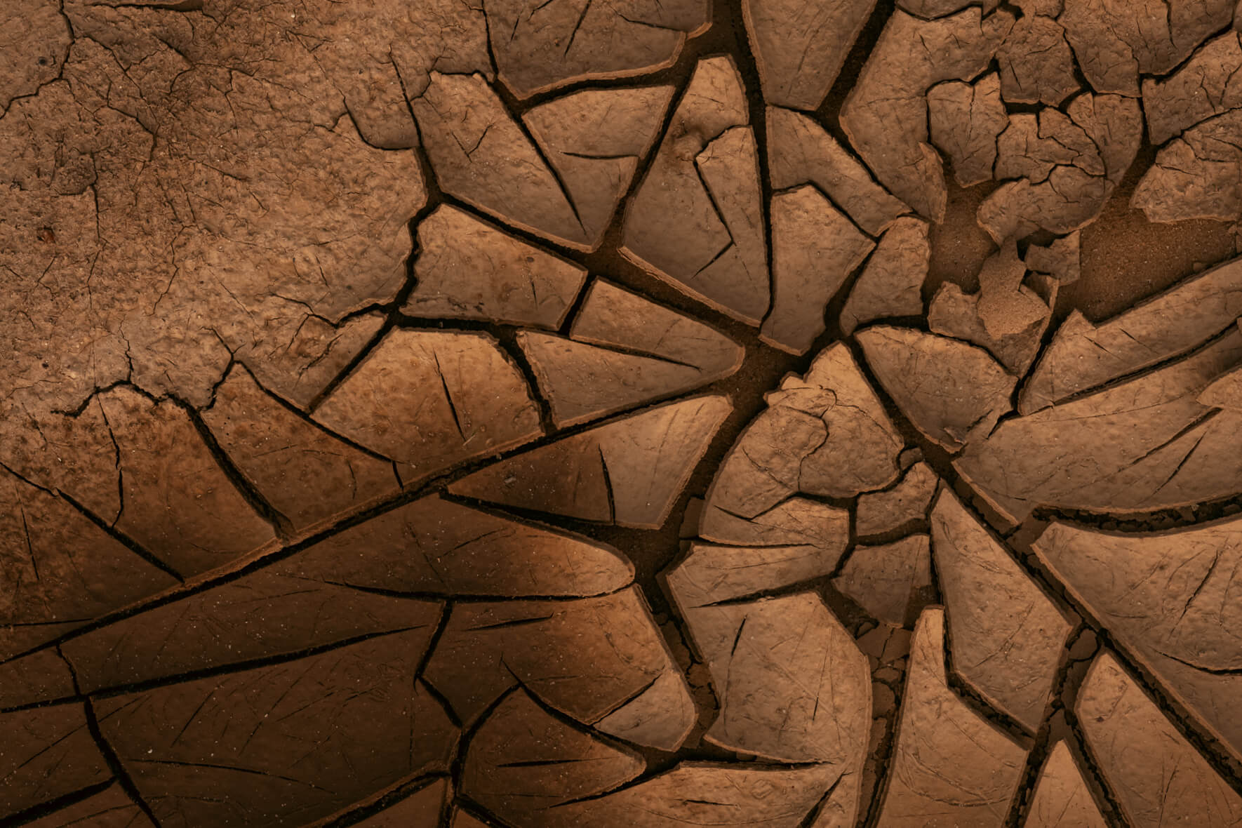 Complex and unique textures in dried mud