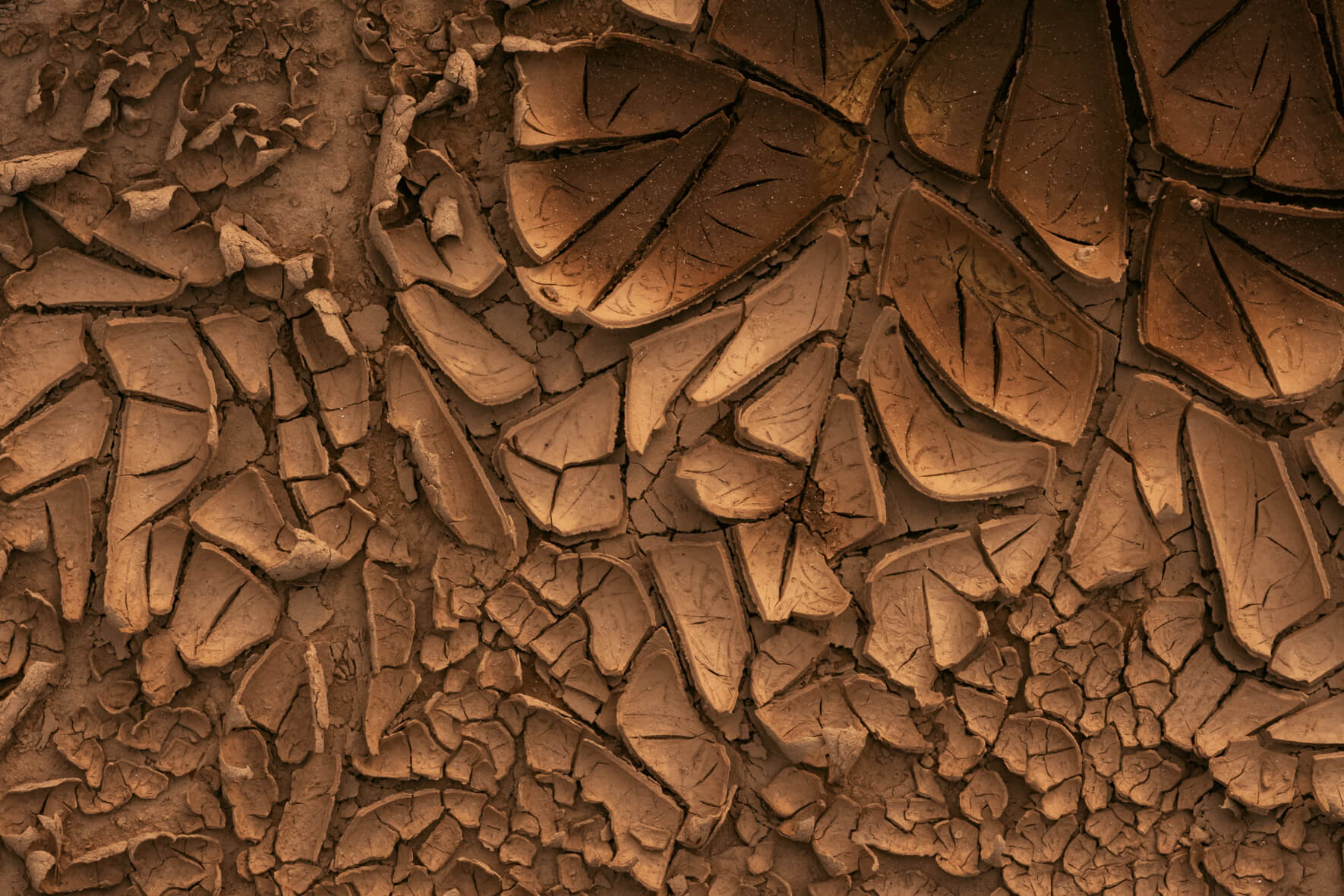 Abstract patterns in dried mud, displaying the intriguing textural variations