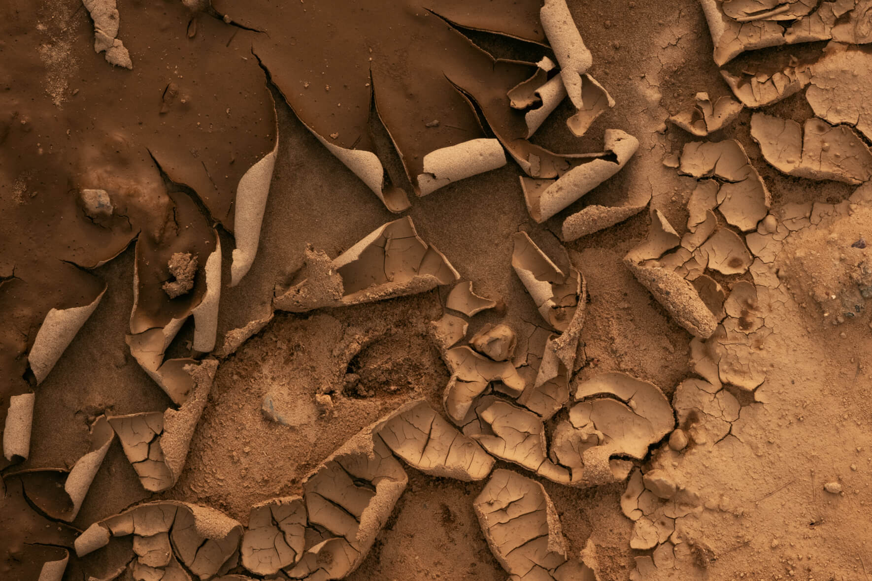 Close-up view of intricate abstract patterns formed in dried mud