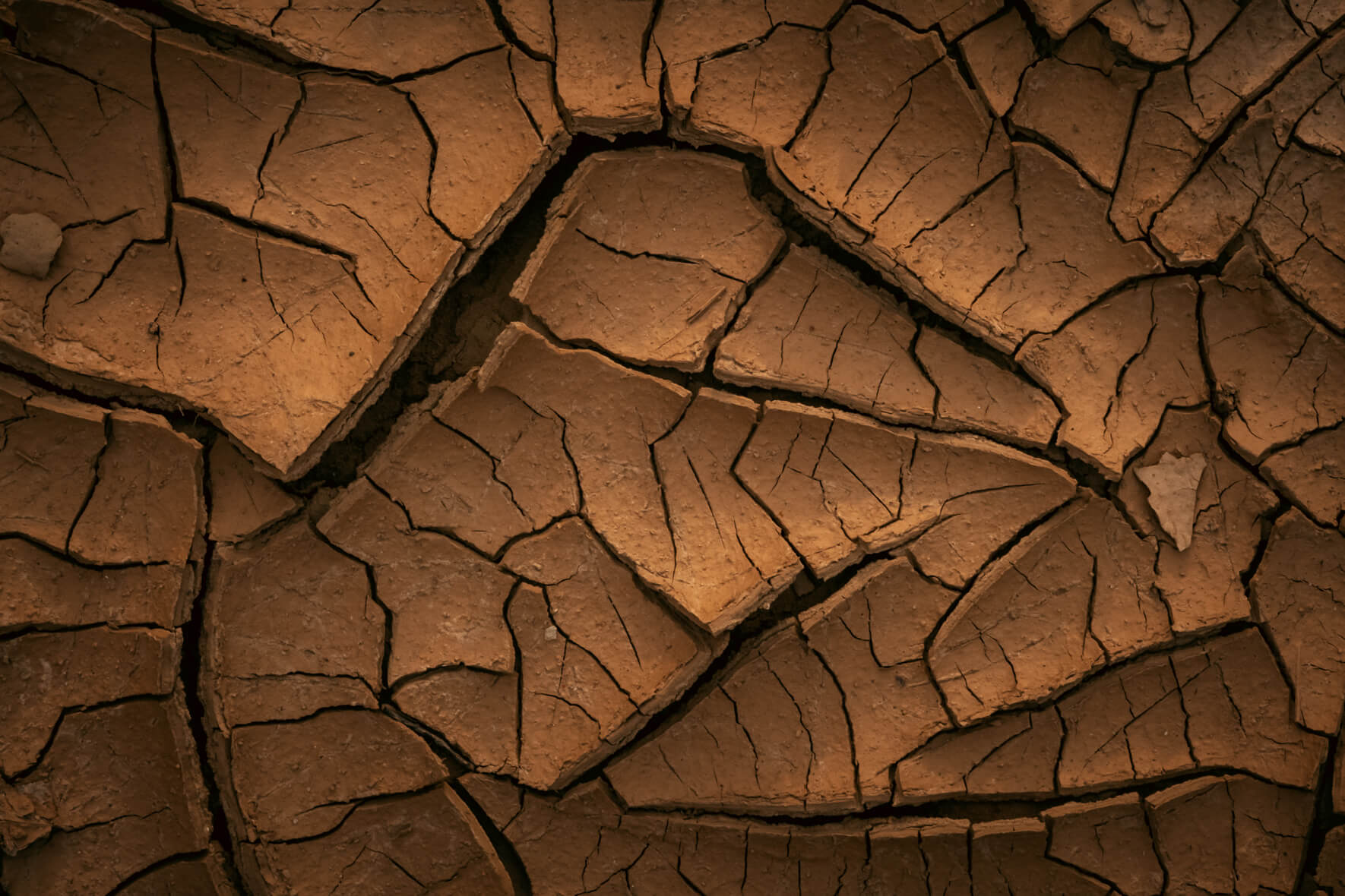 Macro photography showcasing the abstract patterns found in dried mud
