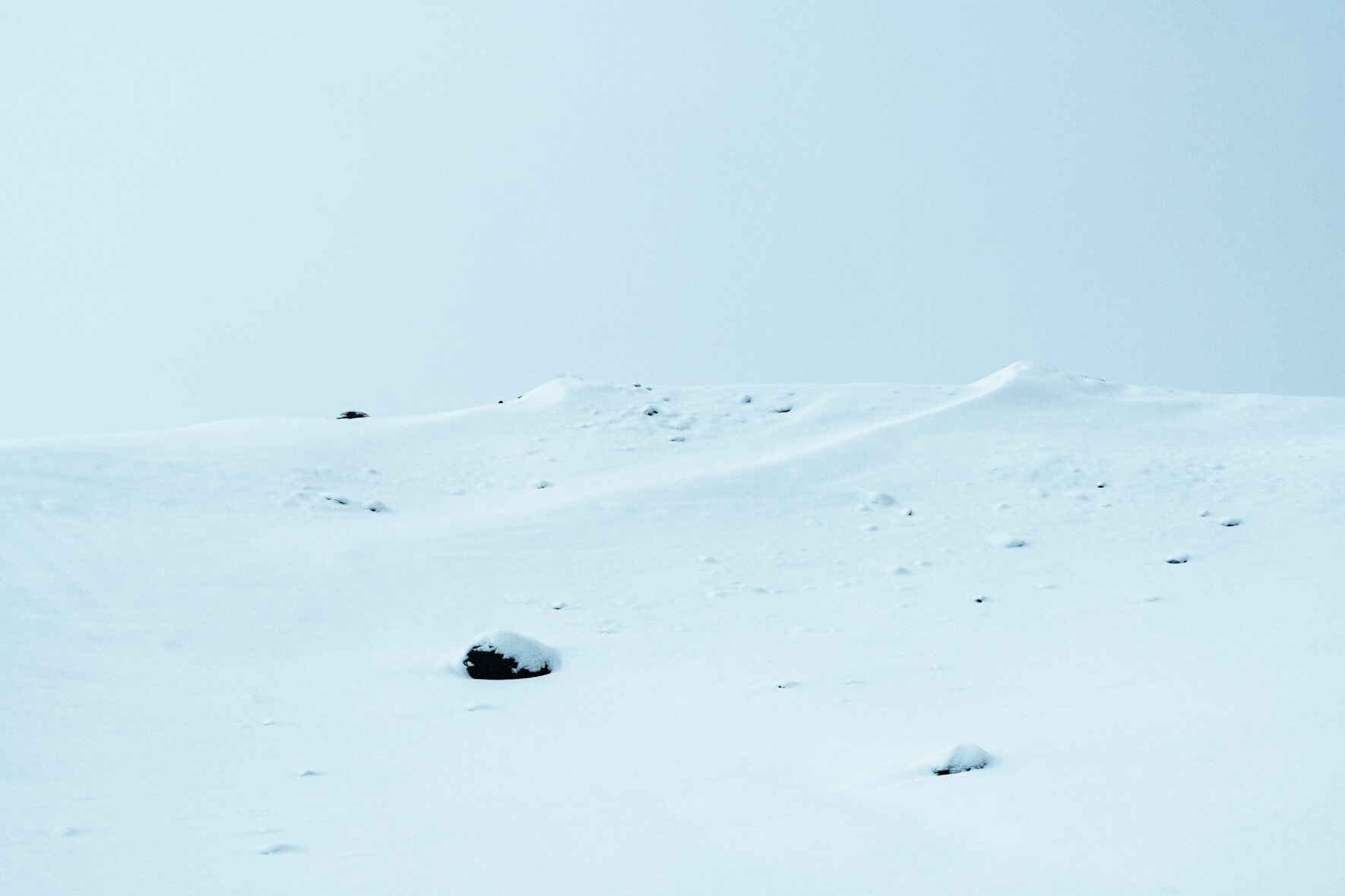Minimalist winter landscape with almost whiteout conditions in Iceland