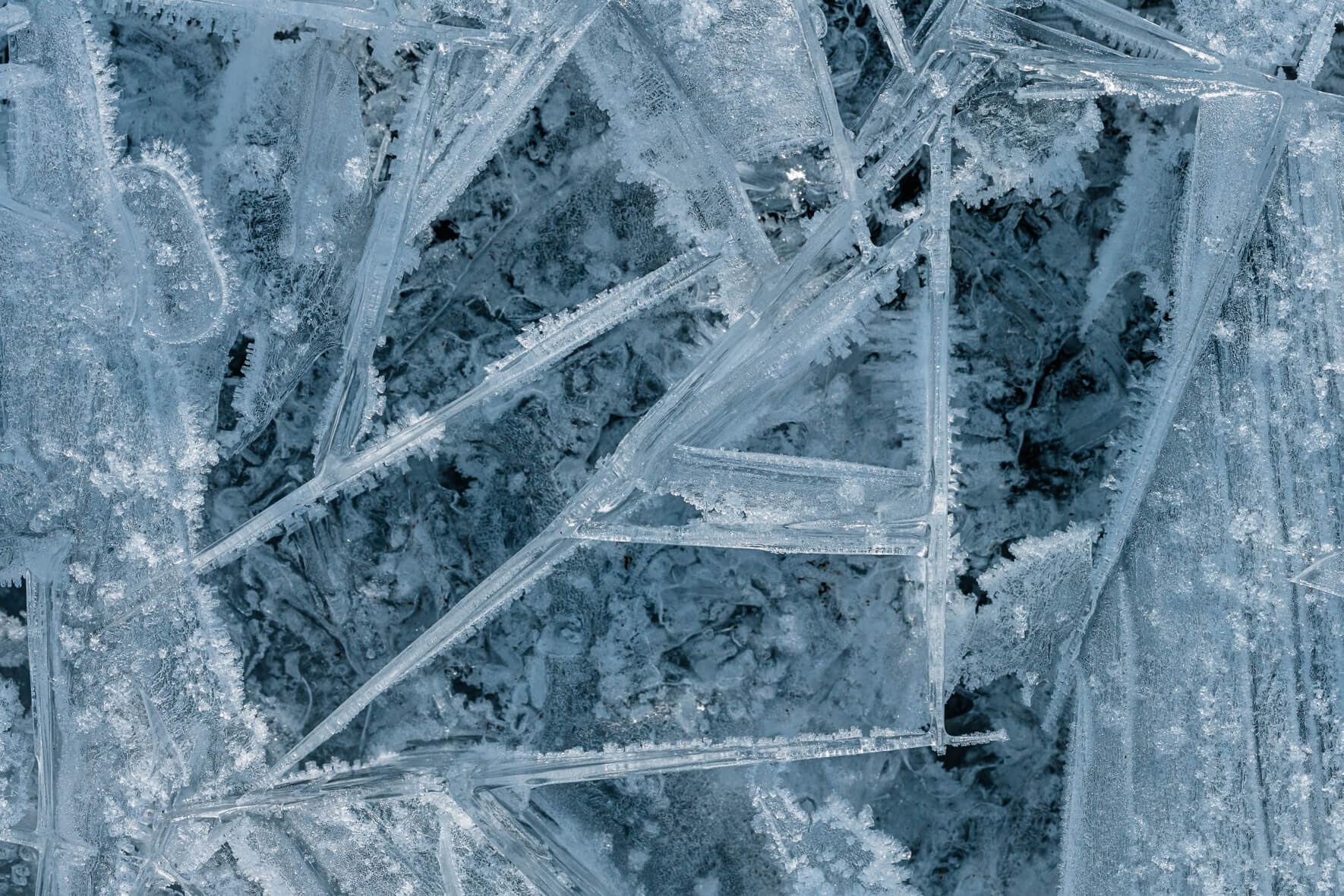 Macro photography of ice crystals on a frozen stream