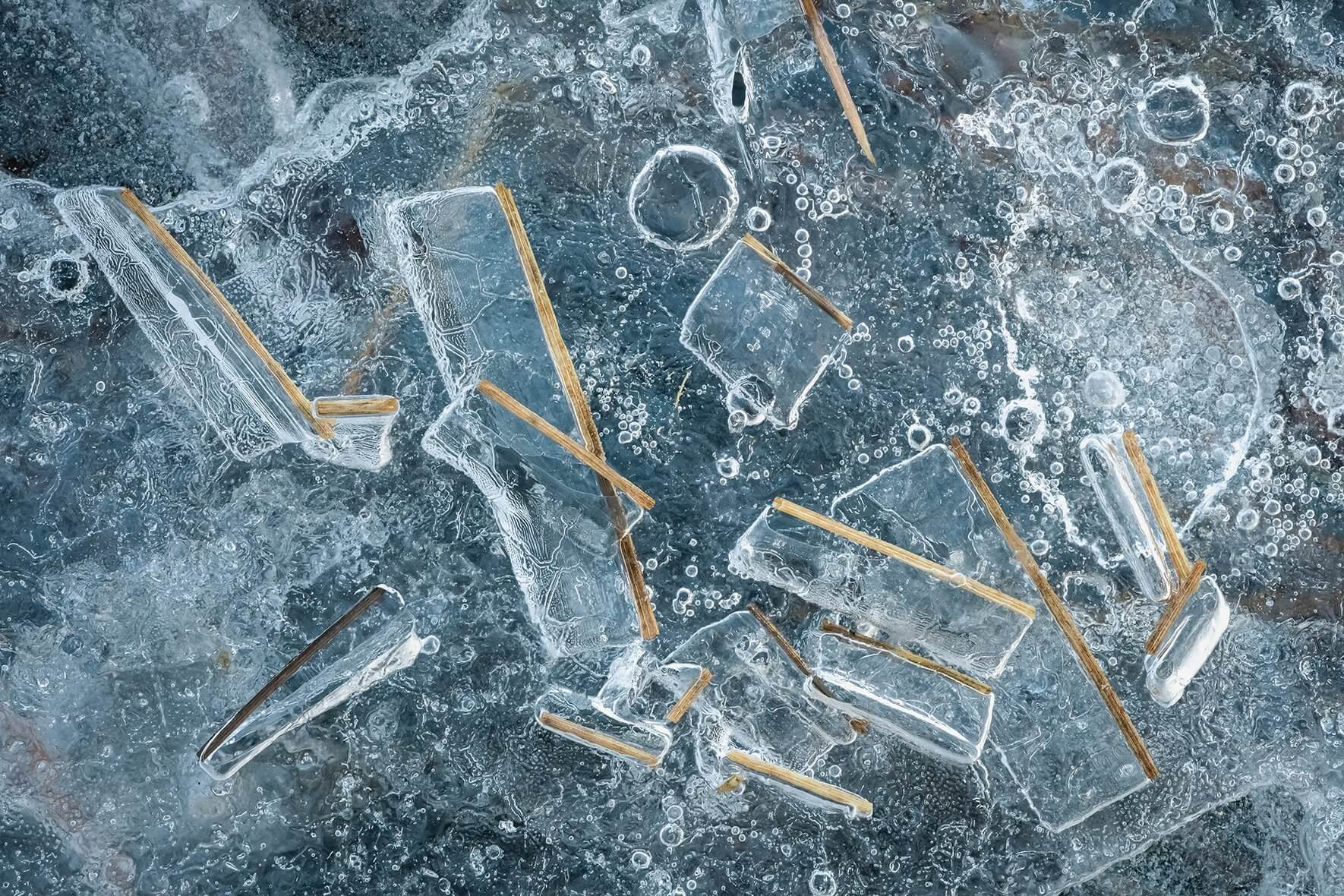 Frozen grasses on the ice surface of a lake