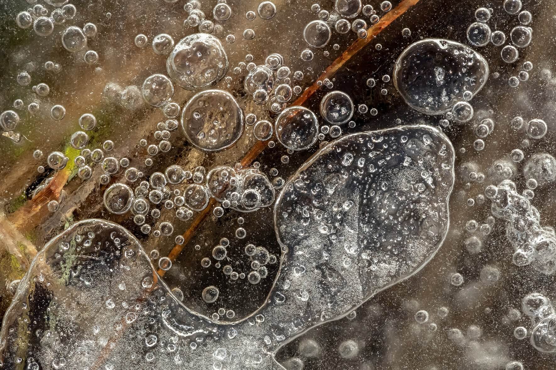 Frozen air bubbles trapped under the ice of a lake in southern Norway