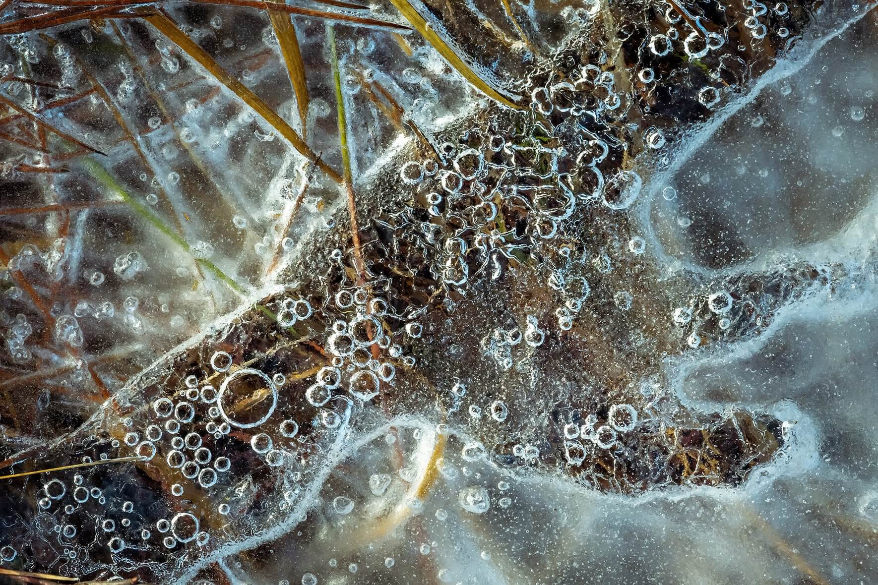 Macro image of air bubbles and grasses in the ice of a frozen creek