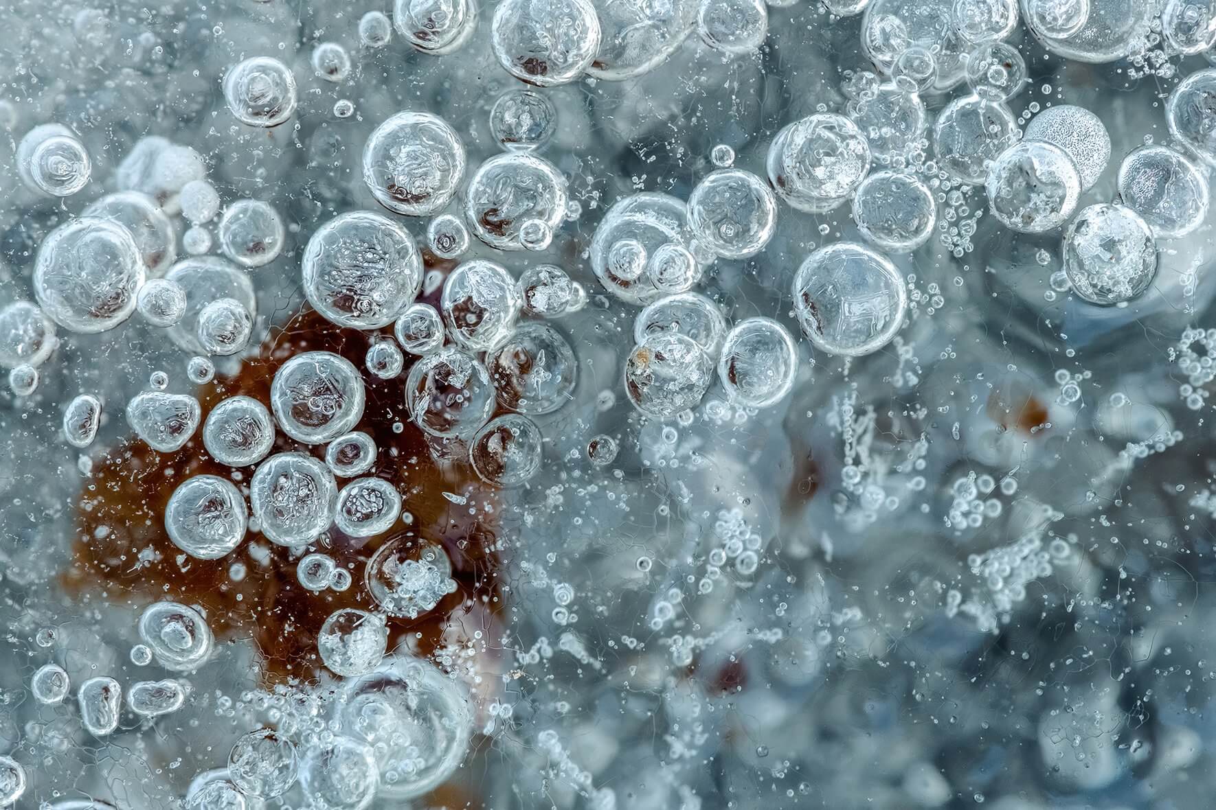 Macro image of air bubbles and leaves in the ice of a frozen creek in Norway