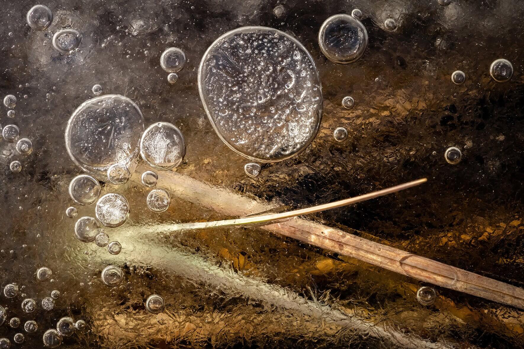 Macro image of air bubbles and grasses in the ice of a frozen creek in Norway
