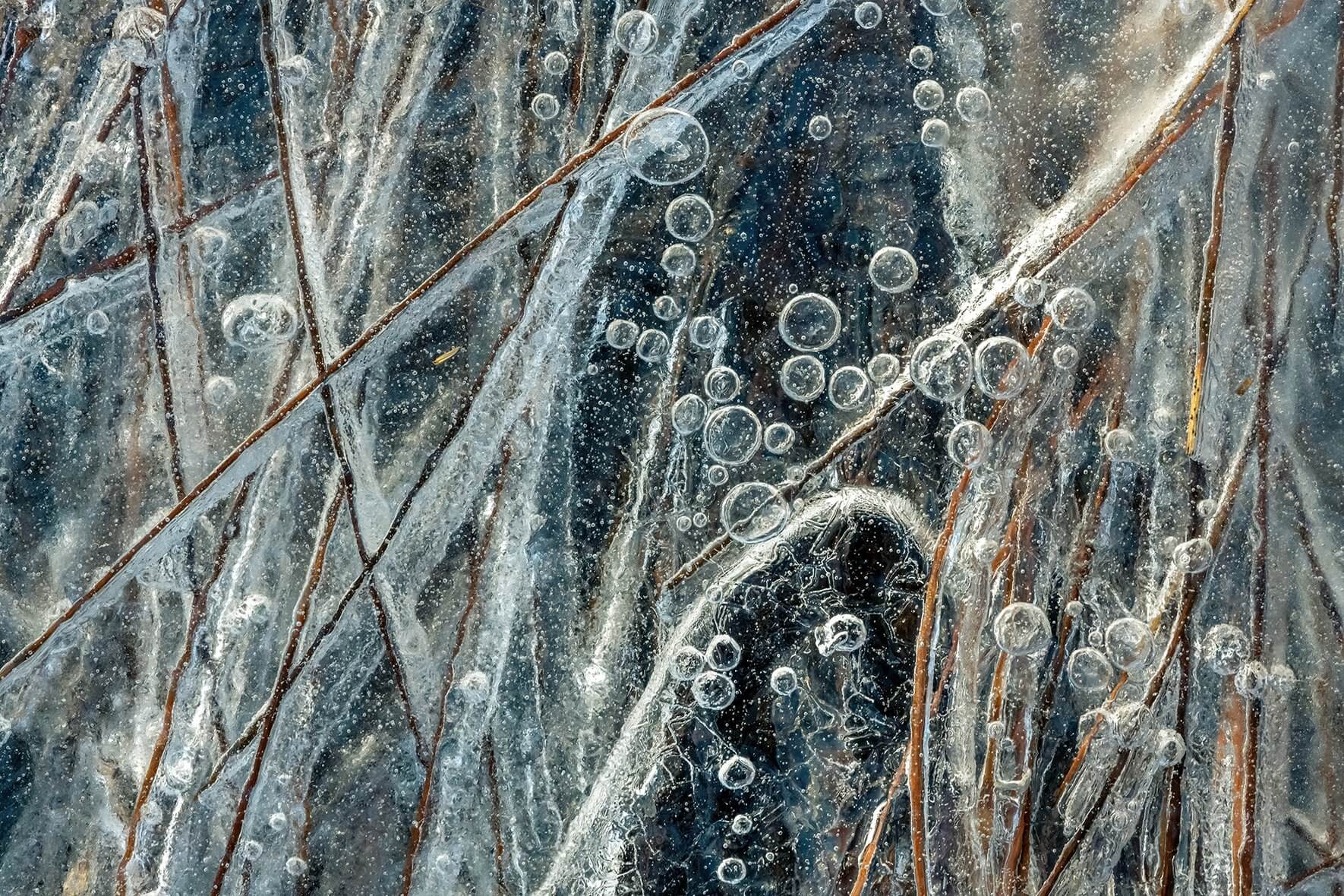 Abstract macro image of air bubbles and grasses in ice of frozen swamp in Norway