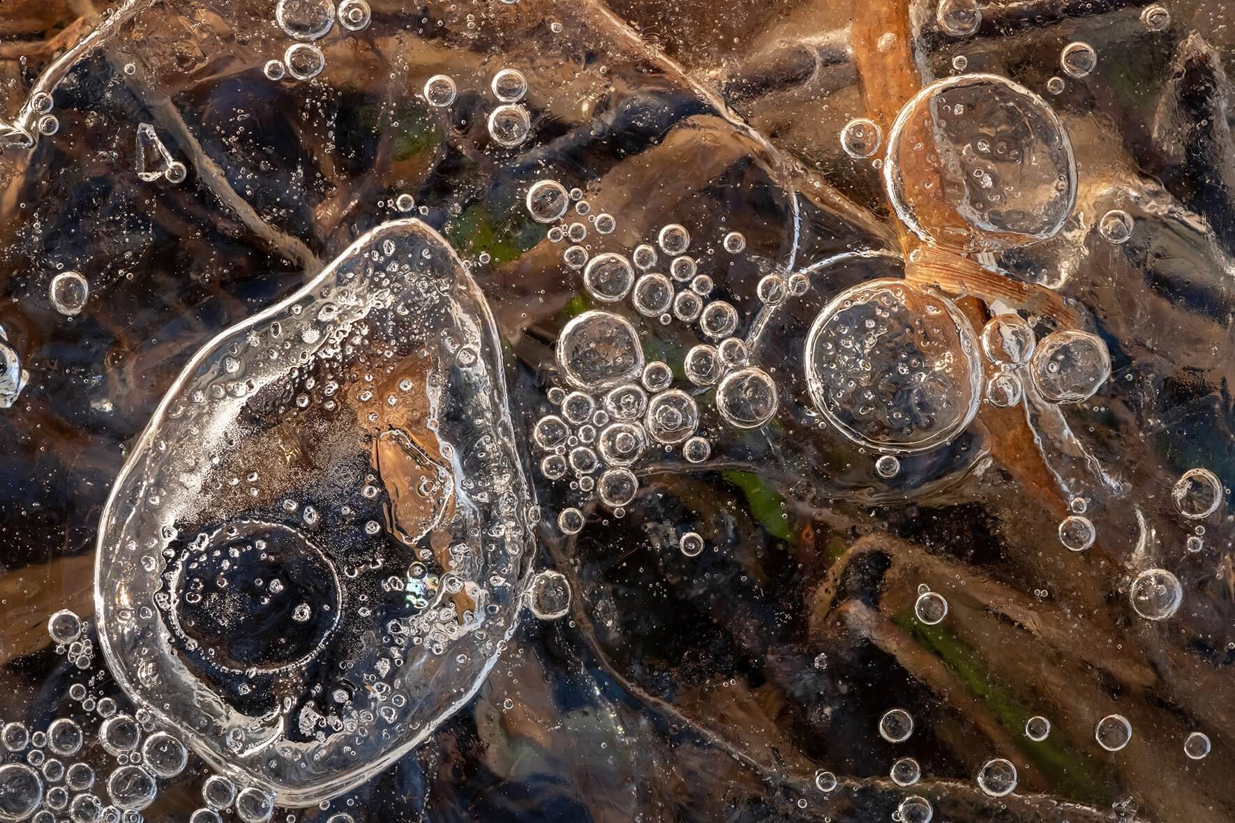 Abstract macro photograph of air bubbles in the ice of a frozen swamp in Norway