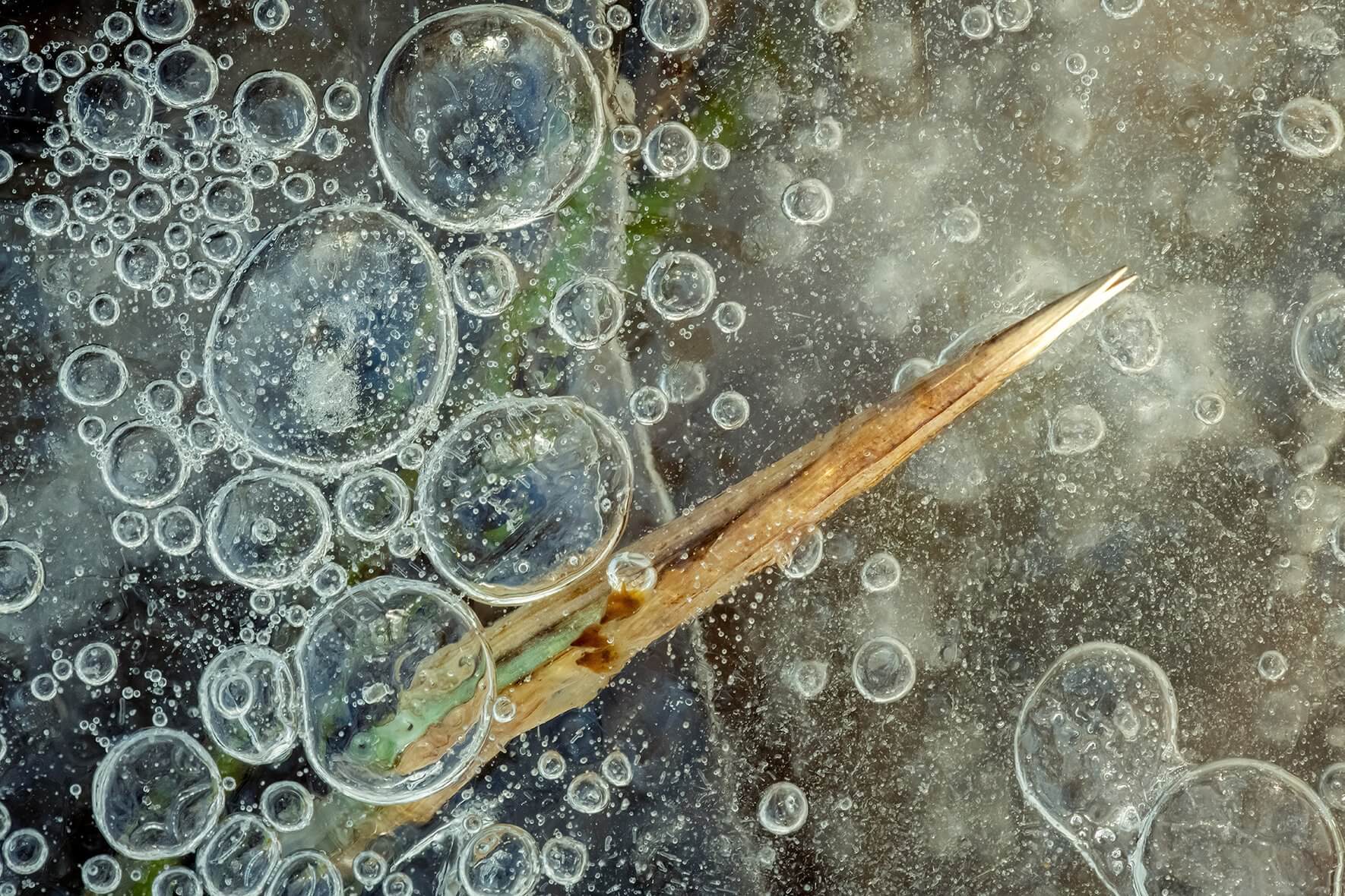 Close-up of air bubbles in the ice surface of a frozen moorland in Norway