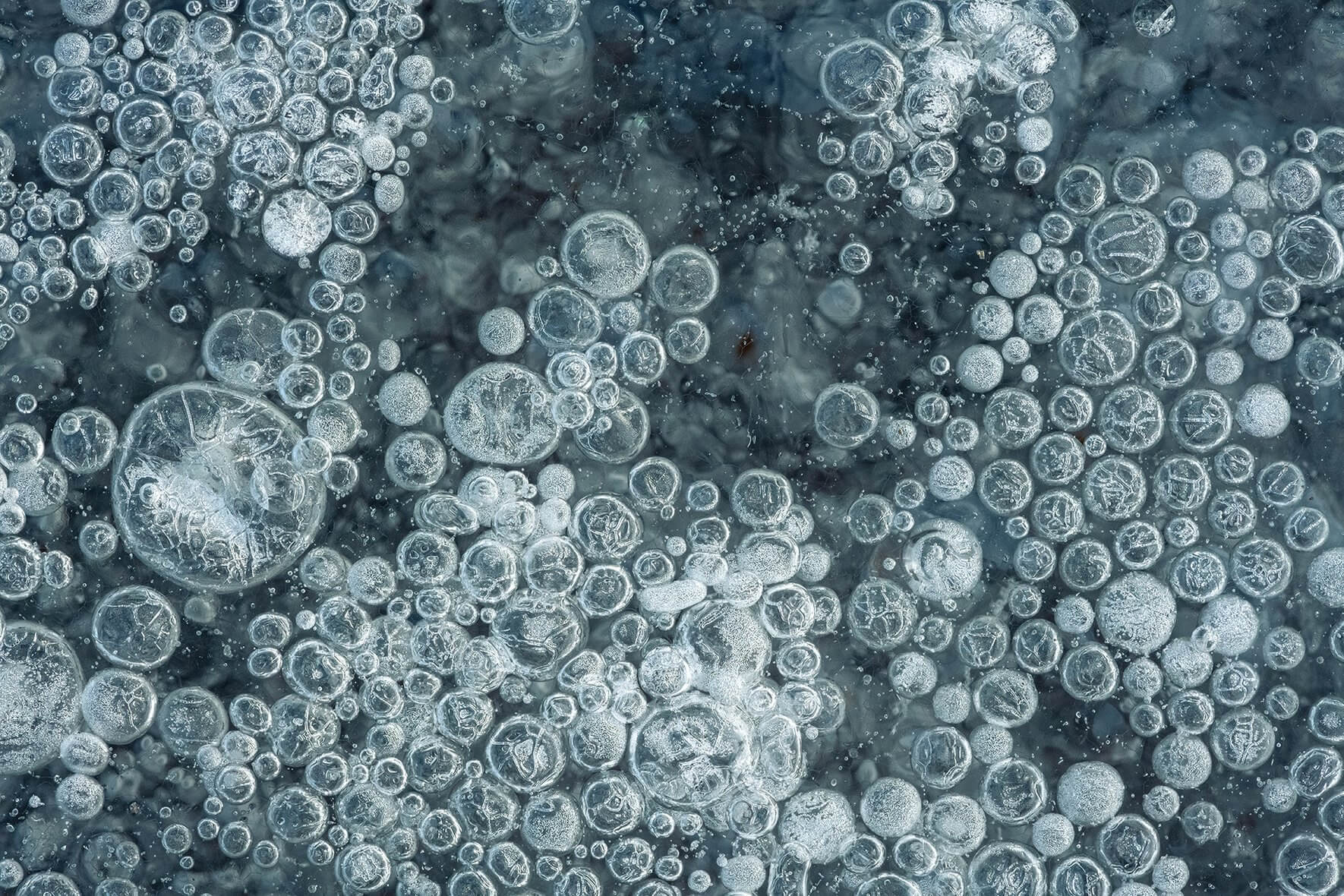 Macro image of air bubbles in the ice surface of a frozen swamp area in Norway