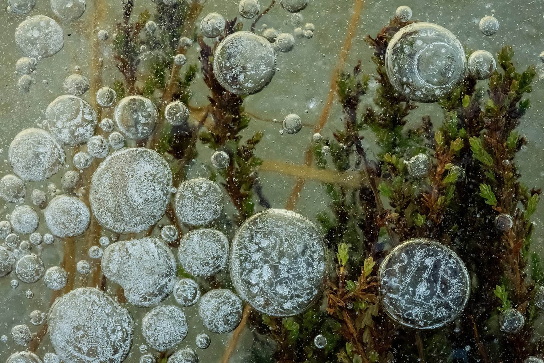 Macro image of massive air bubbles in the ice of a small creek in southern Norway