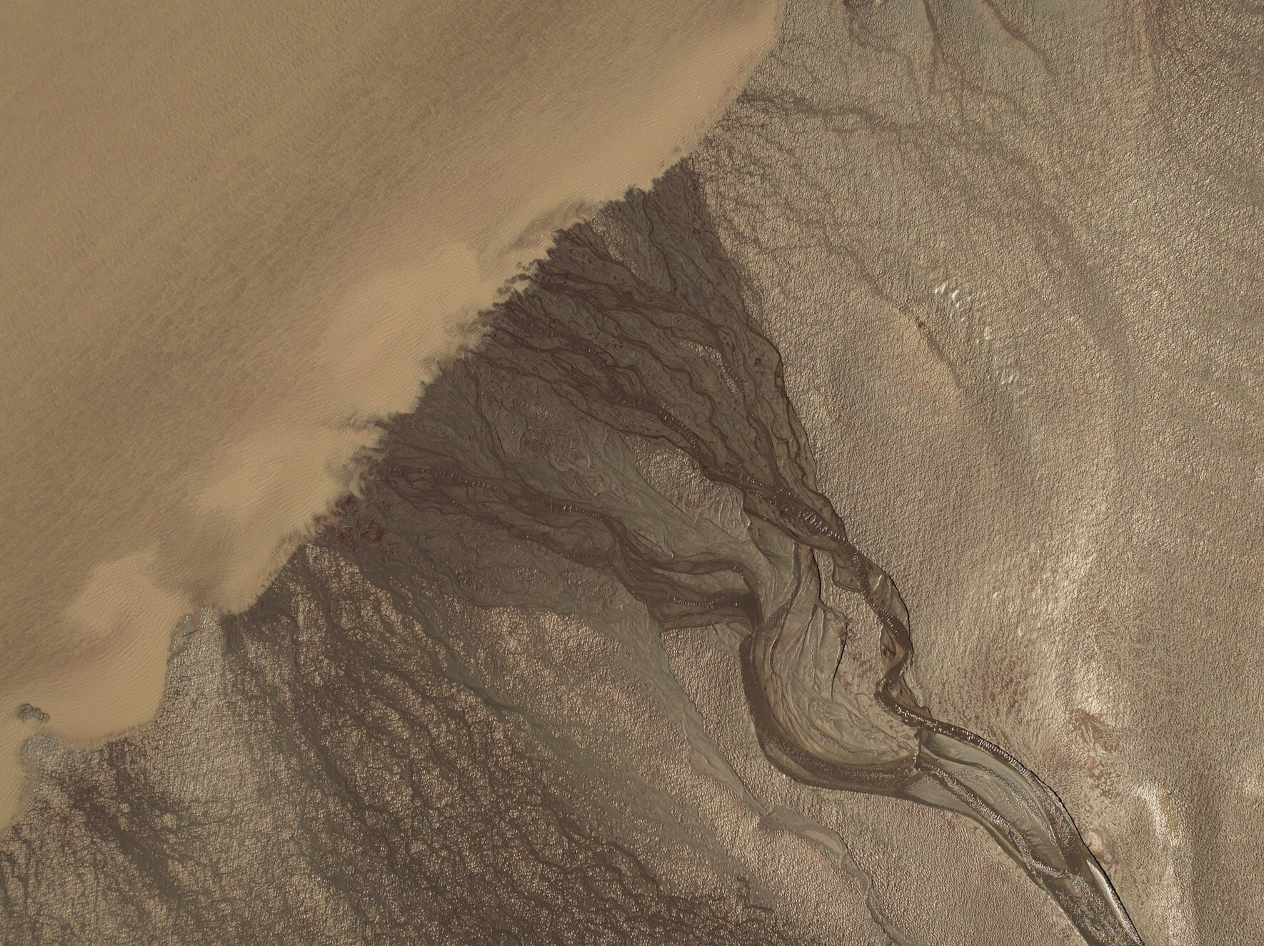 Dynamic tidal landscape in Alaska, where currents shape coastal landscapes