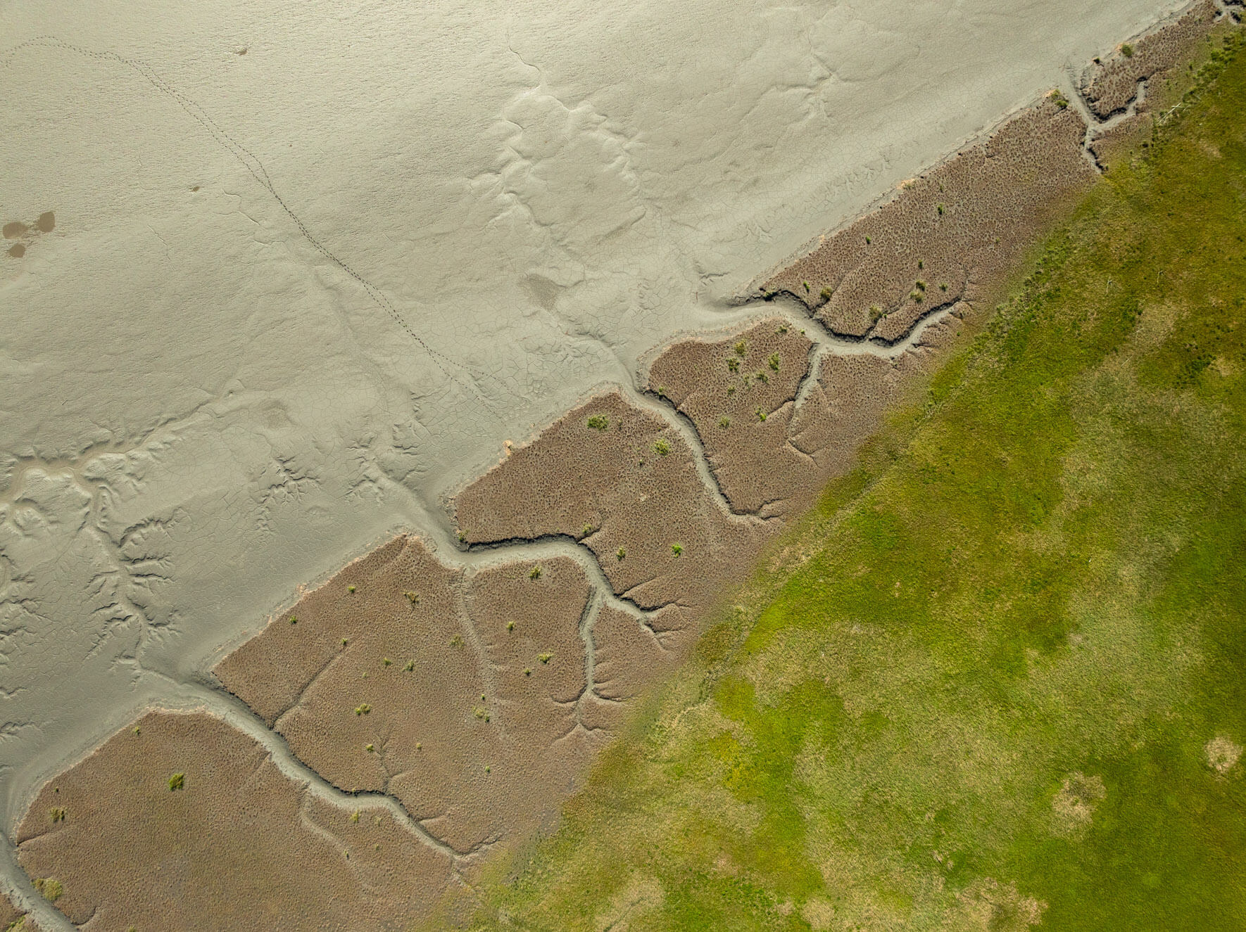 Aerial view of Alaska’s tidal formations, showing winding channels etched by the tide