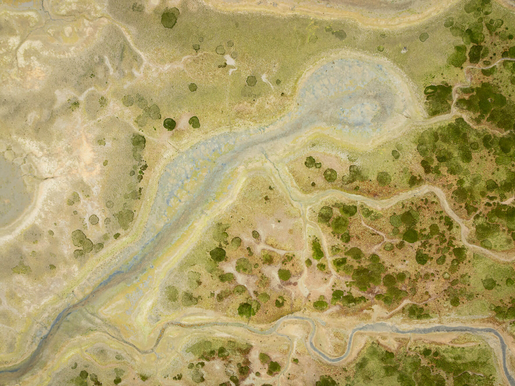 Aerial view of Alaska’s intertidal zones, where land, water, and vegetation create intricate patterns