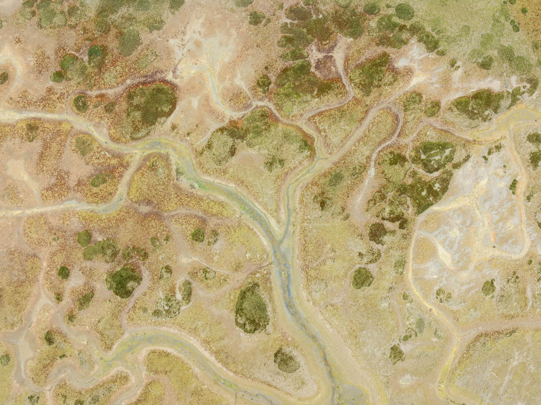 Aerial abstraction of Alaska’s intertidal terrain, revealing the complexity of coastal ecosystems