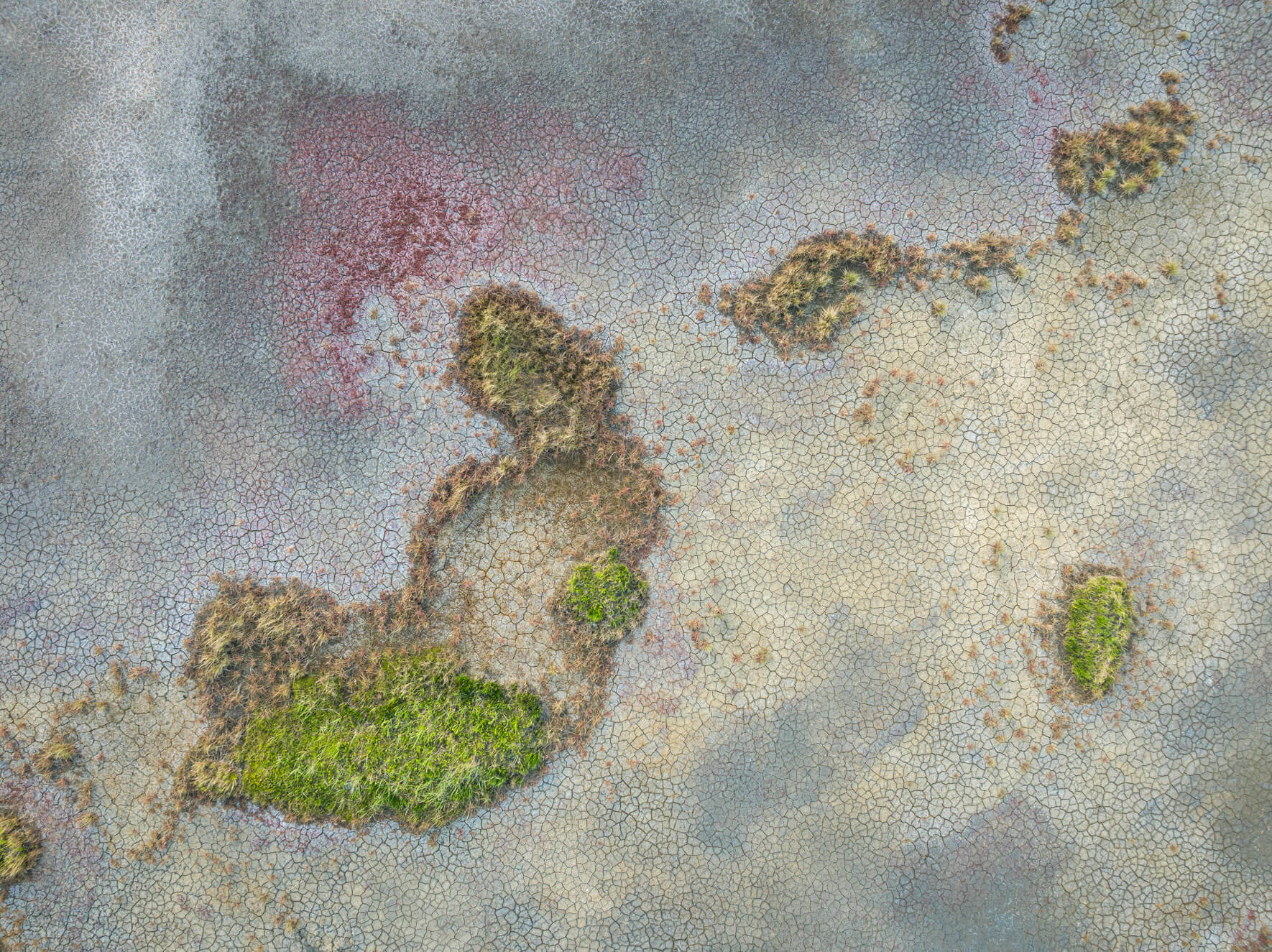 Aerial abstraction of Alaska’s coastal wetlands, highlighting cracked earth patterns and organic color shifts