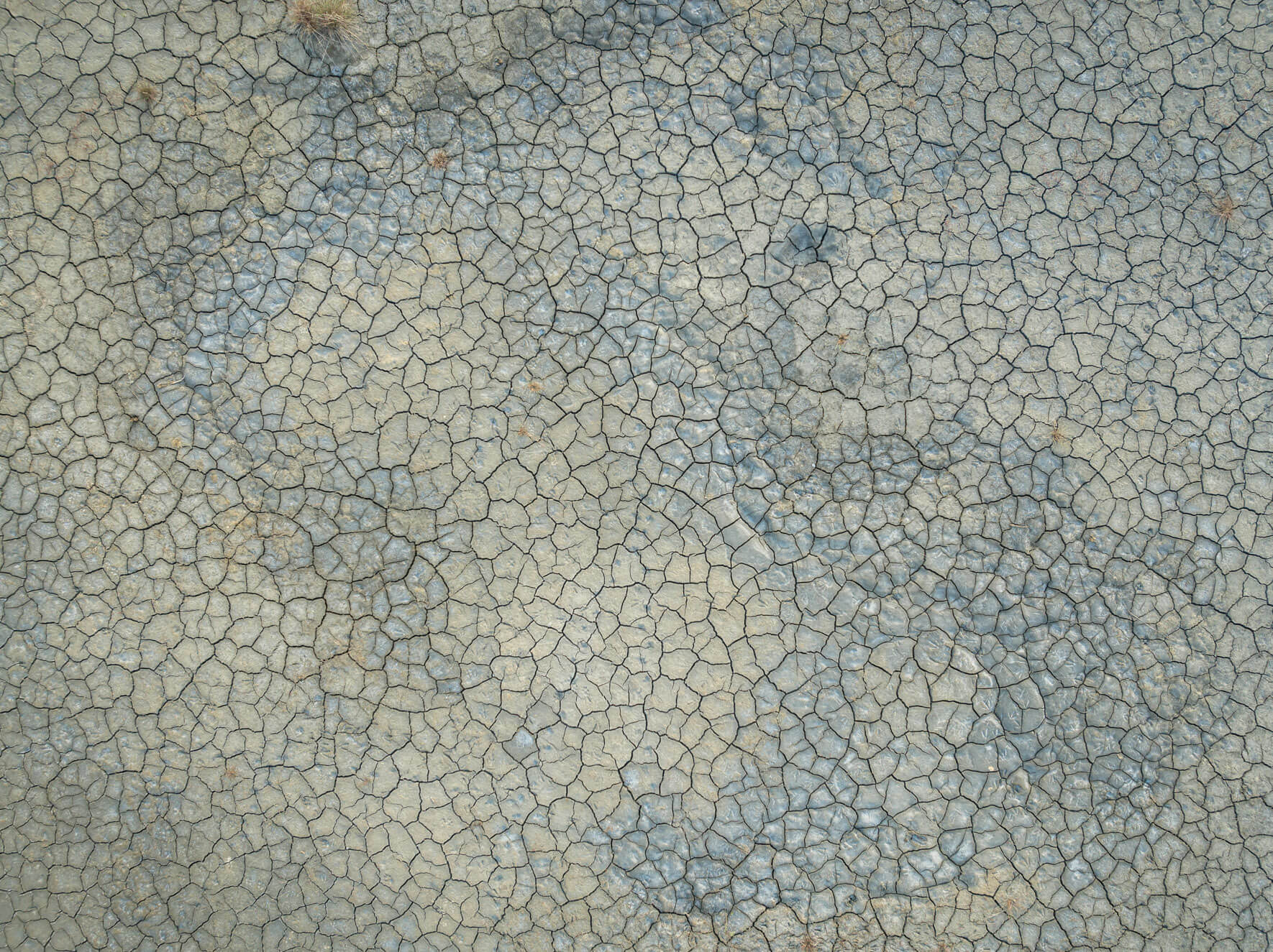 Cracked earth formations in Alaska’s swamplands, revealing intricate natural textures