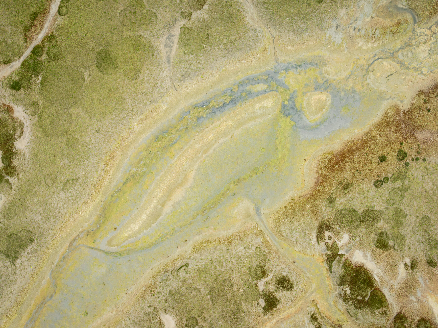 Aerial view of Alaska’s intertidal zones, where land, water, and vegetation create intricate patterns