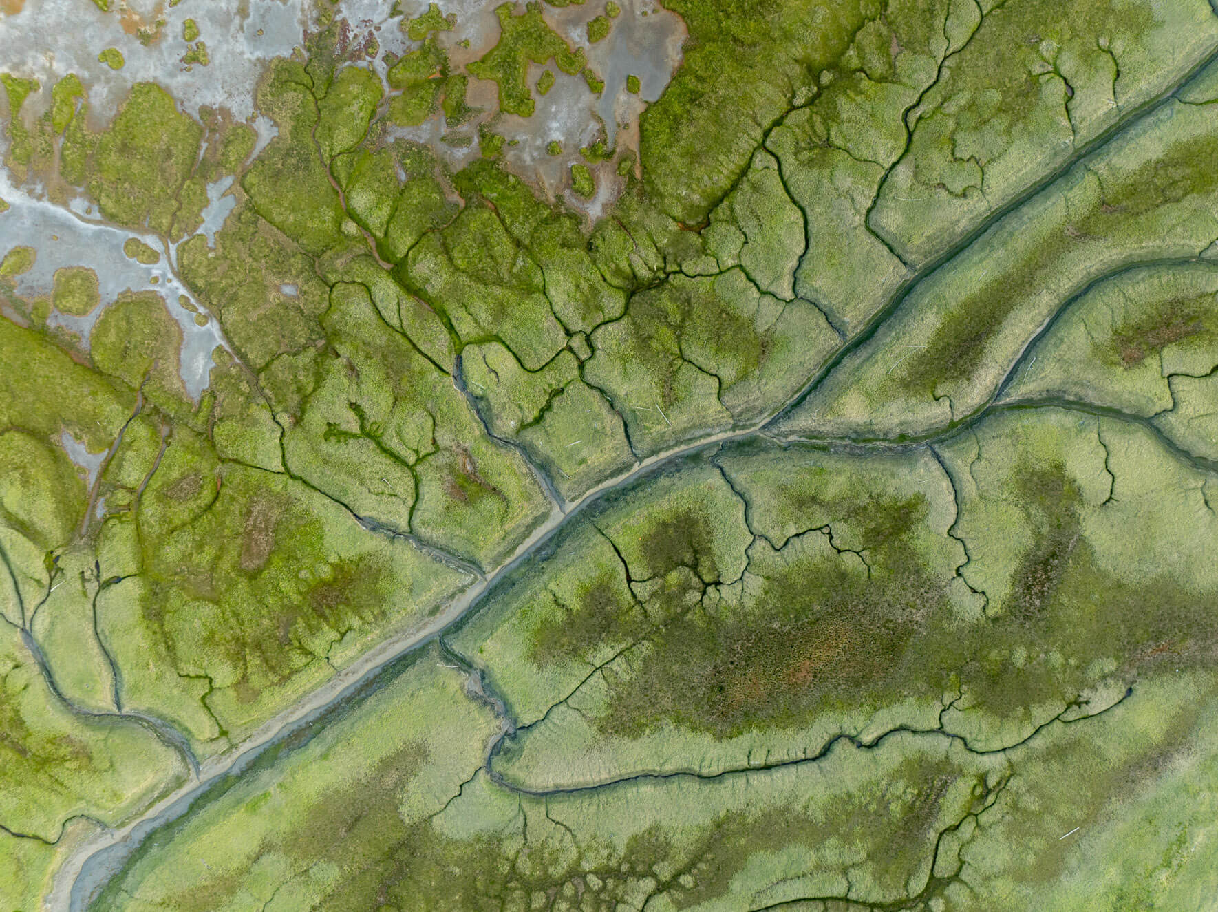 Tidal channels and swamplands in Alaska, forming dynamic textures in an aerial view