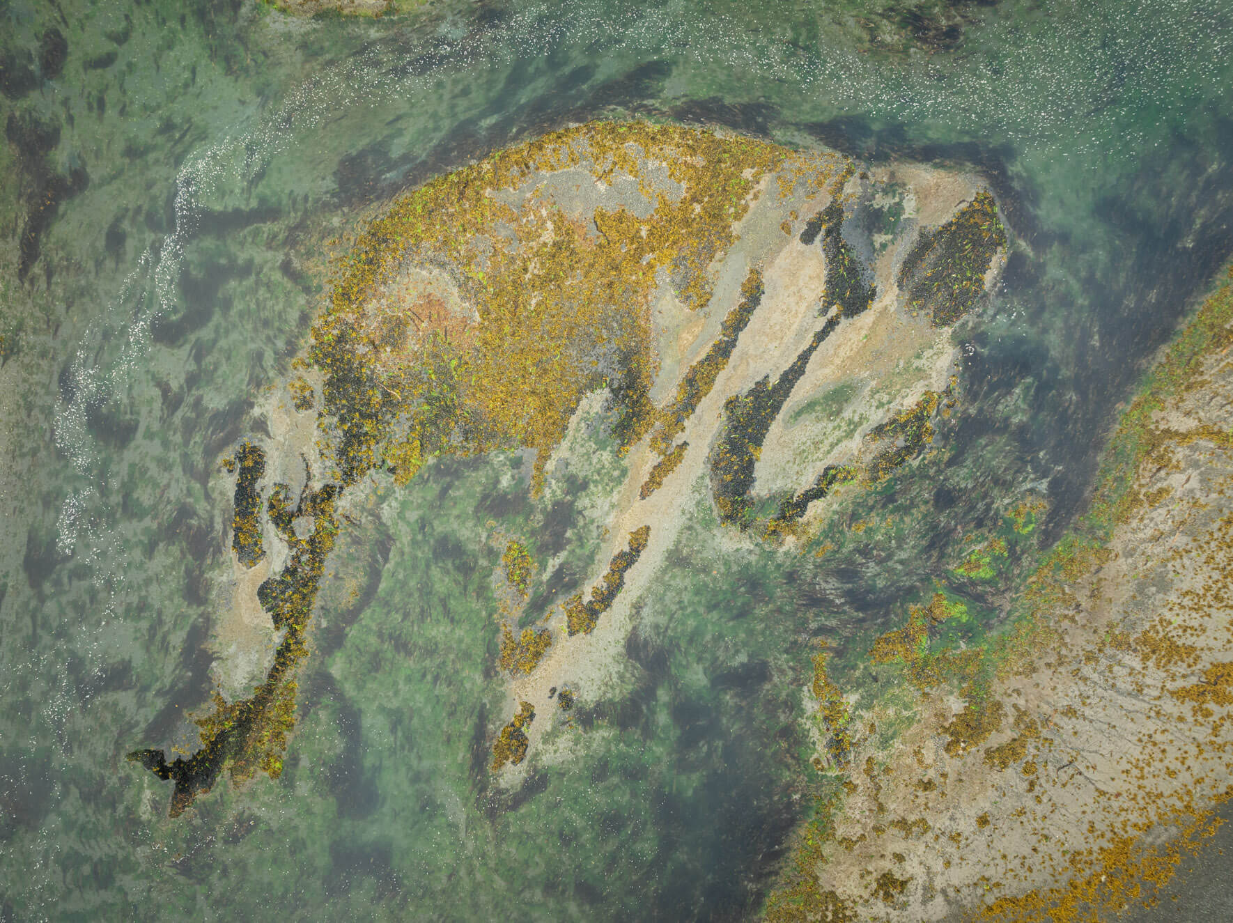 Aerial perspective of coastal wetlands in Alaska