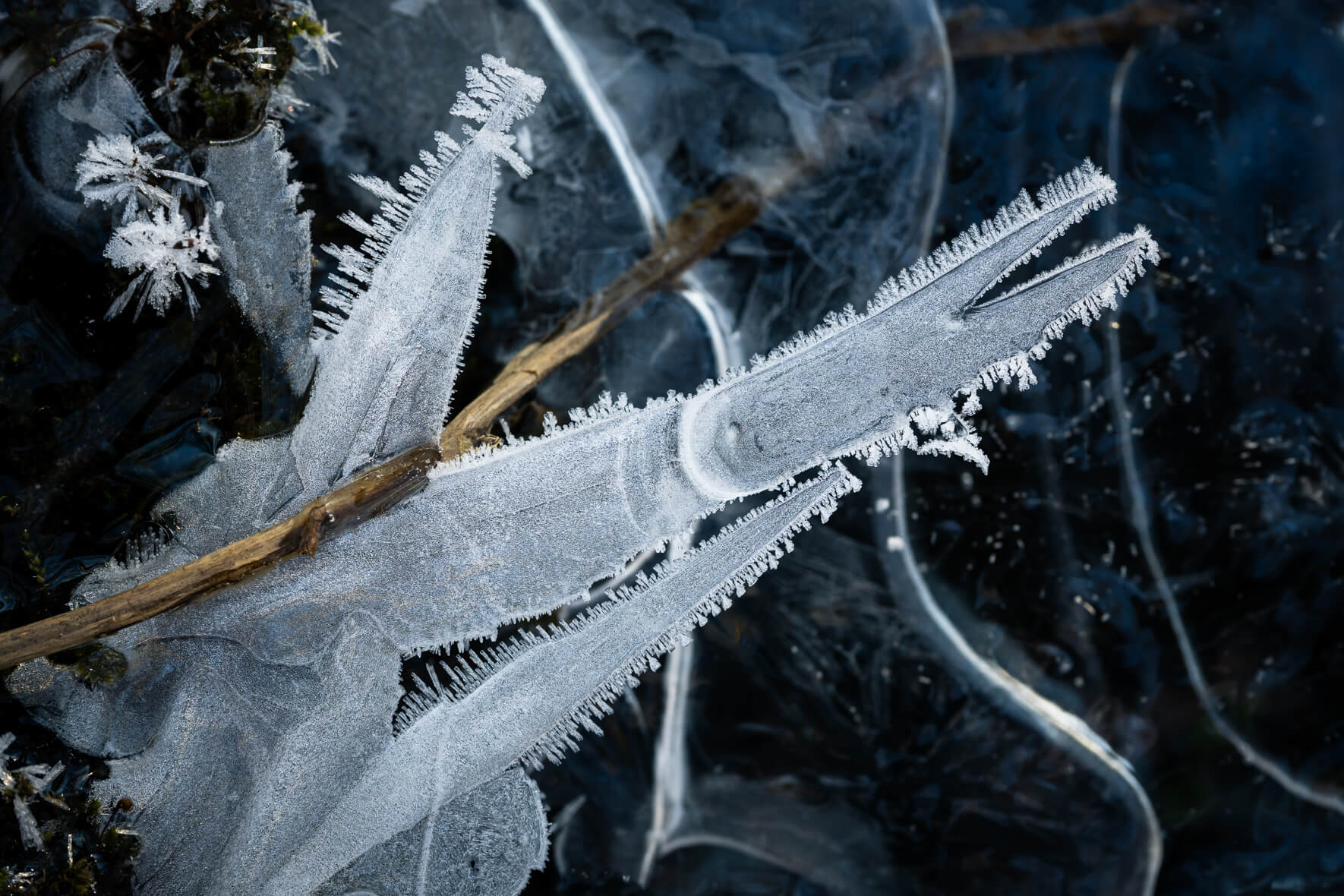 Macro photography of a frozen stream with ice crystals