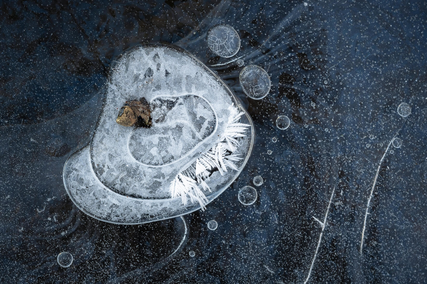 Macro photography of a frozen stream with abstract details and air bubbles