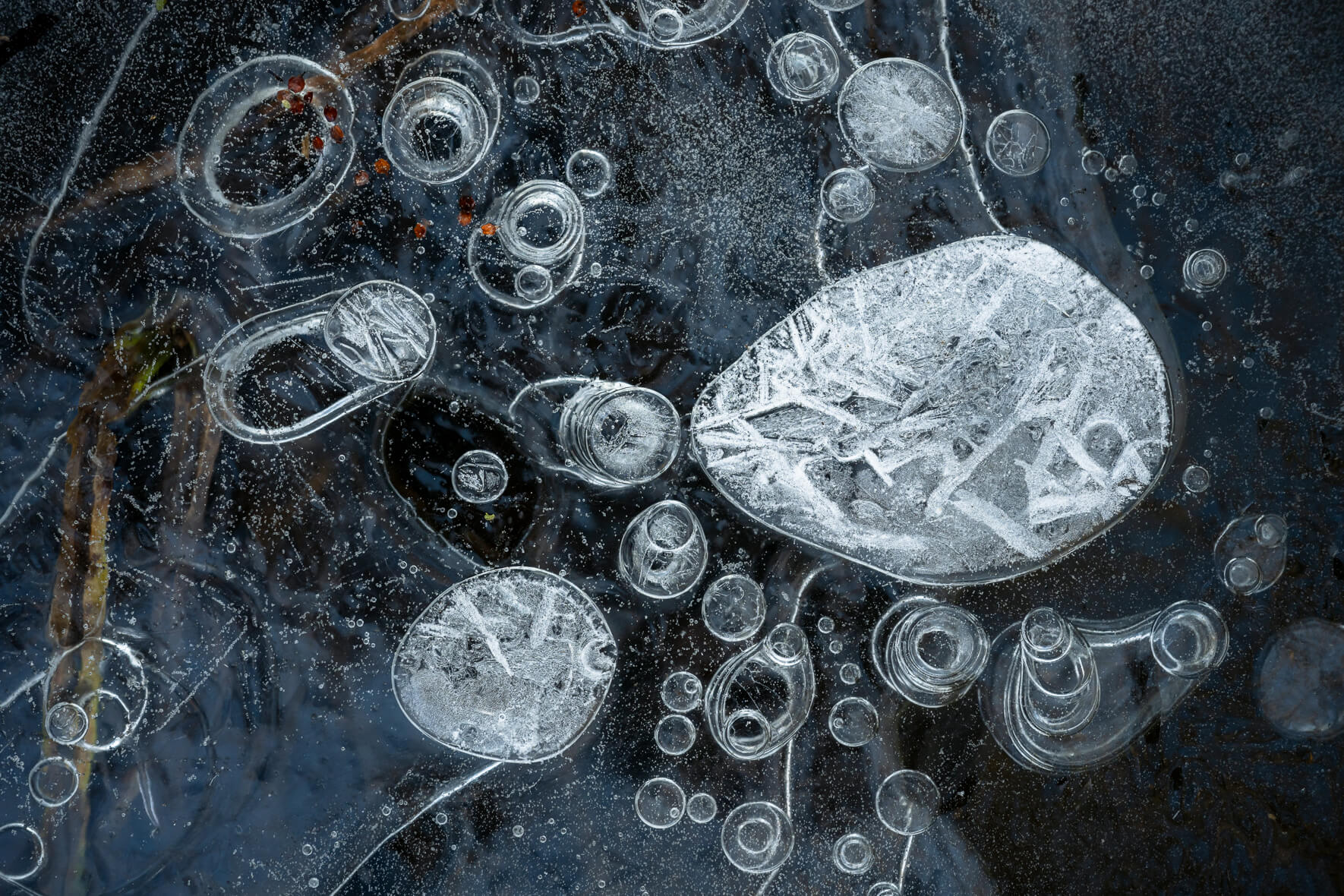 Macro photograph of a frozen stream with air bubbles and a structured ice surface