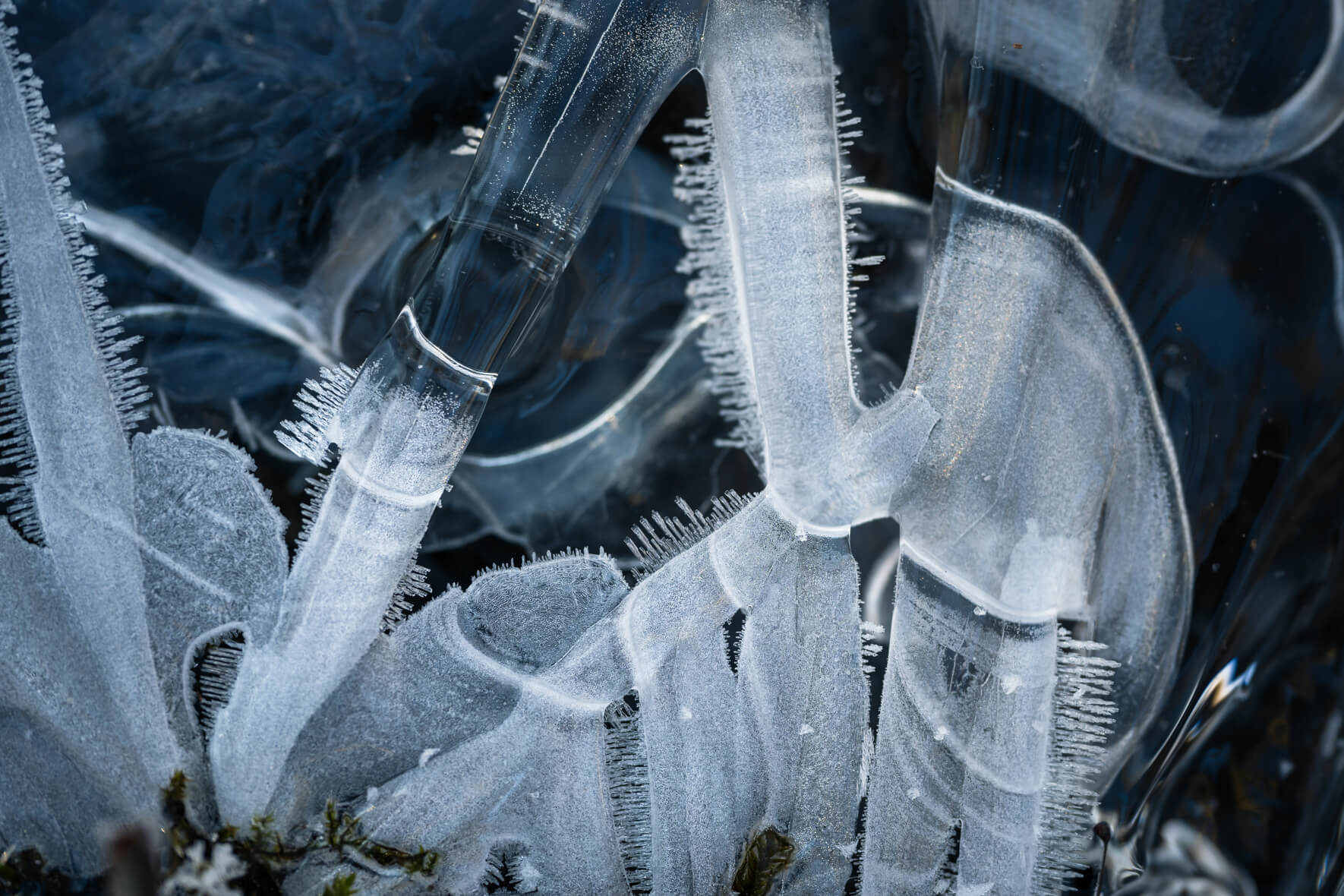 Macro photograph of a frozen creek with abstract ice crystals