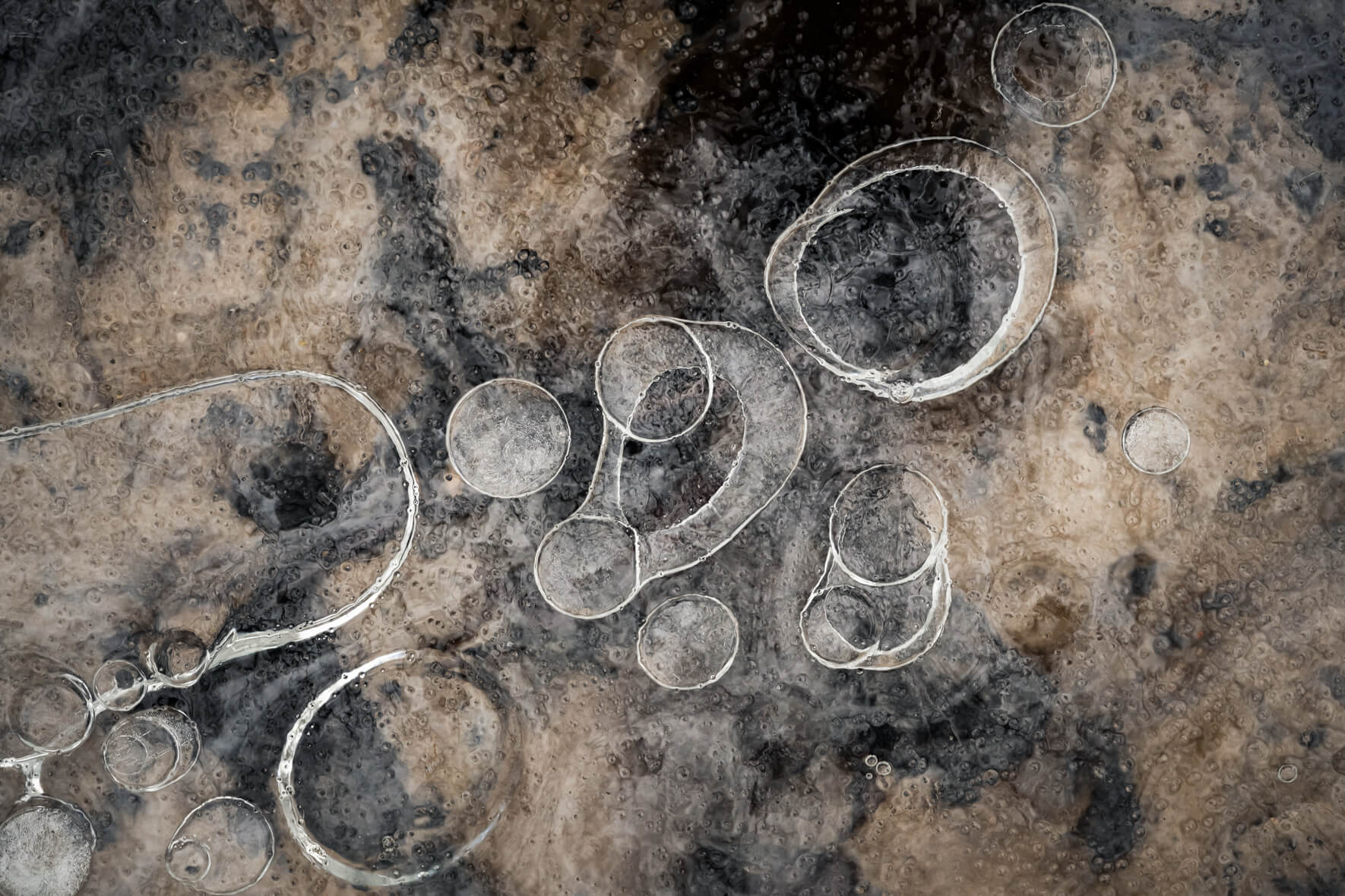 Macro photography of a frozen puddle with dark sand in the background