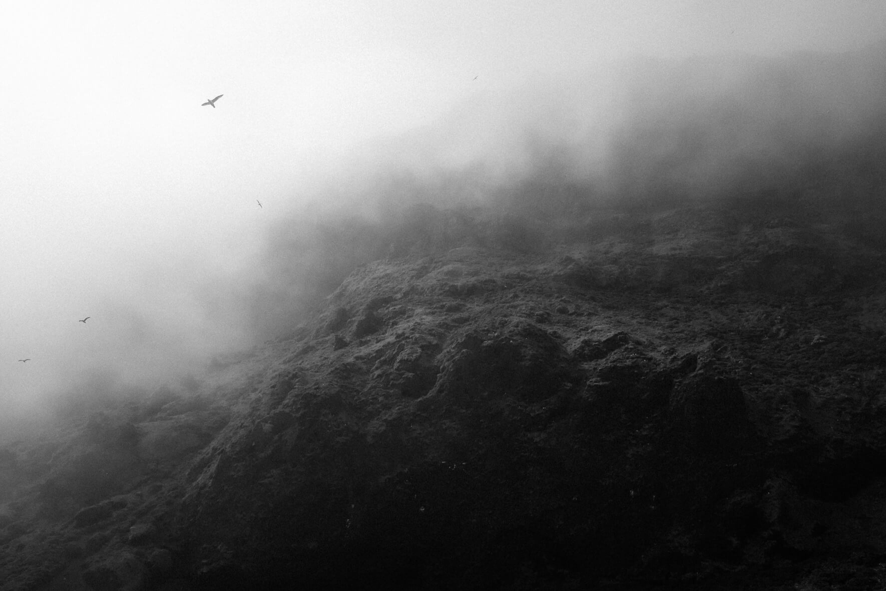 The cliffs on the black sand beach of Vík í Mýrdal in Iceland with seagulls