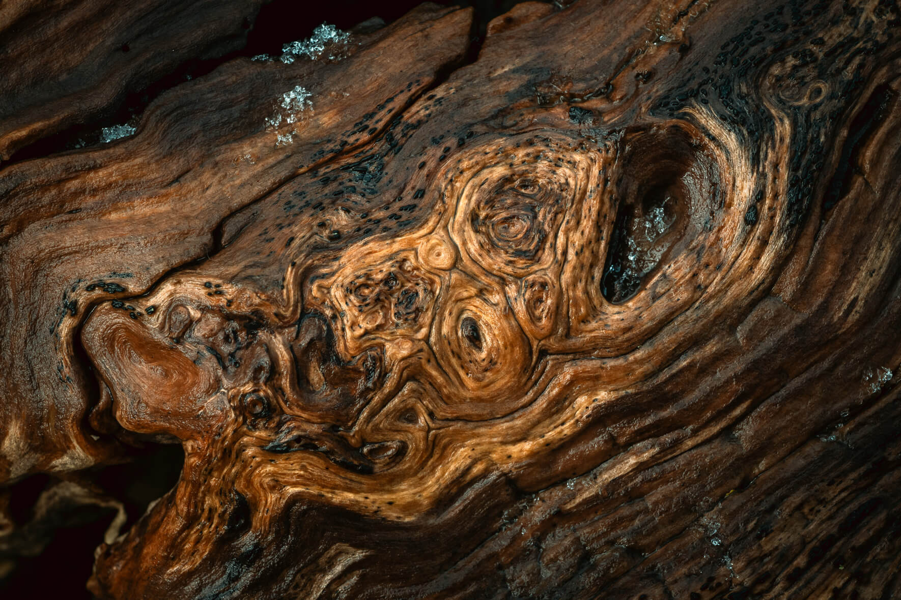Close-up of aged wood showing smooth swirling grain patterns in red-brown hues