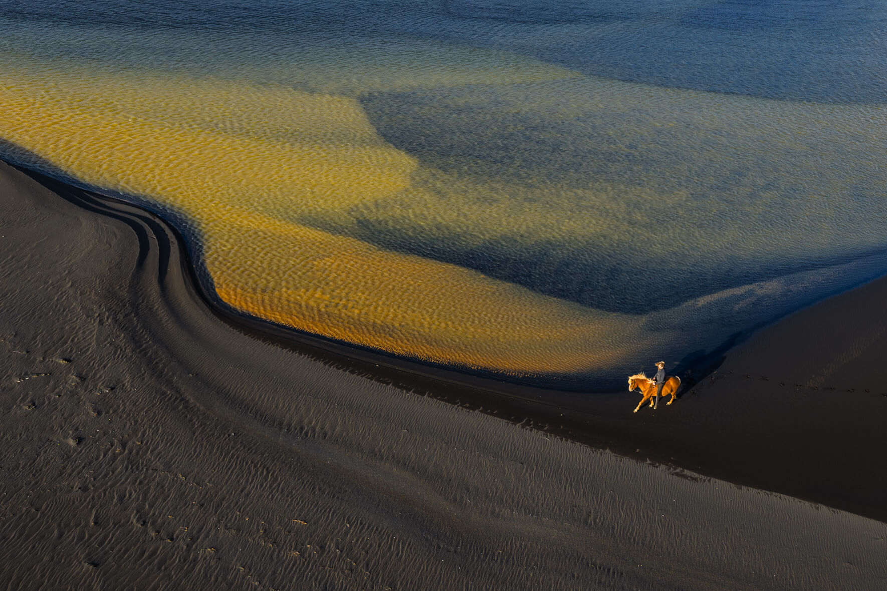 Aerial view of Icelandic horse besides an abstract yellow glacial river in Iceland