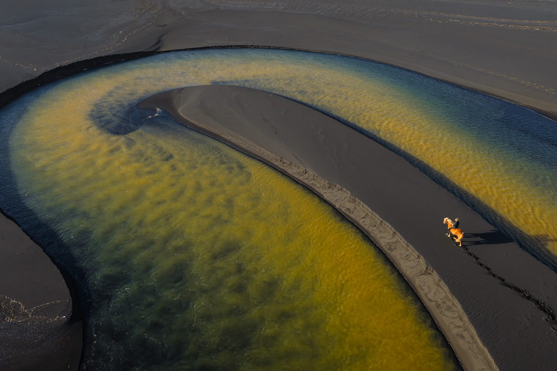 Aerial view of horse crossing sand island amid swirling yellow and blue river patterns in Iceland