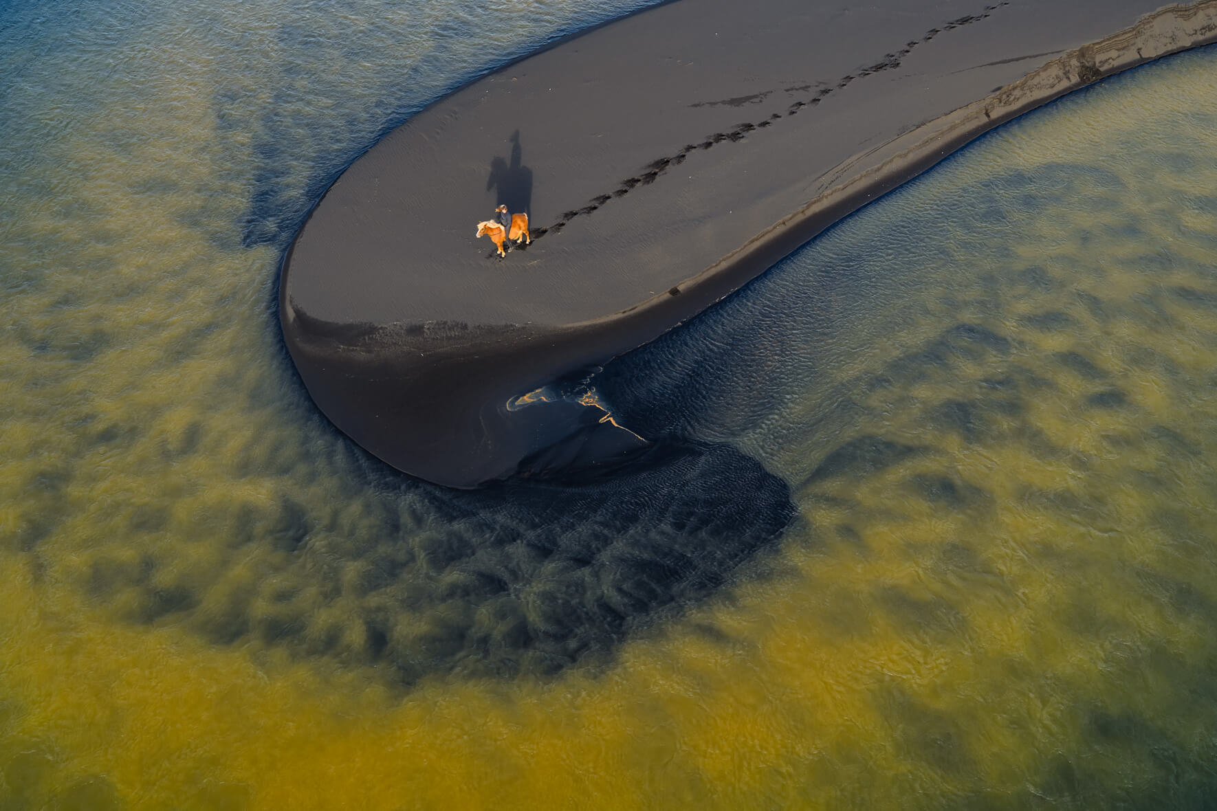 Aerial view of horse alone on sand island in Iceland between tidal streams of yellow and blue