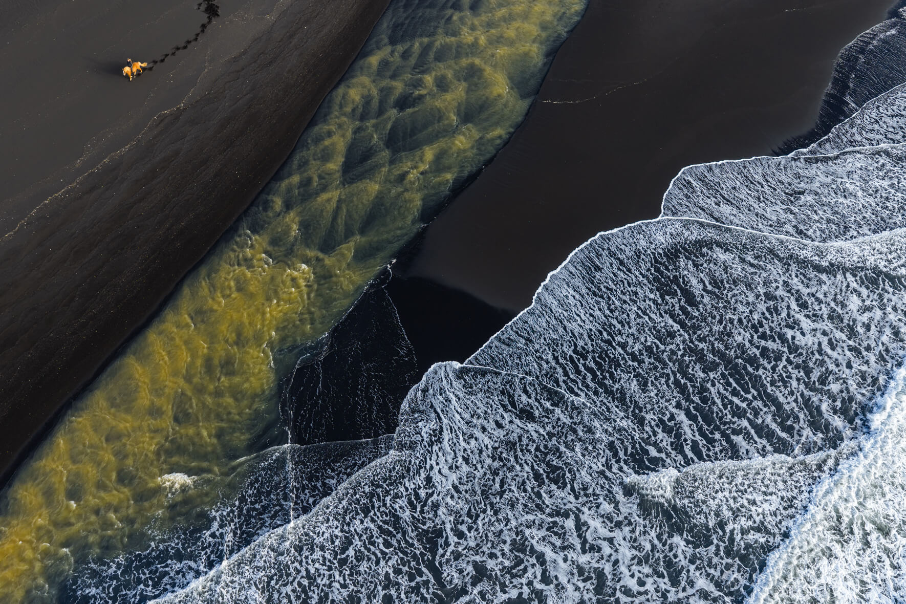 Aerial view of horse on black sand beach in Iceland surrounded by golden glacial water and waves