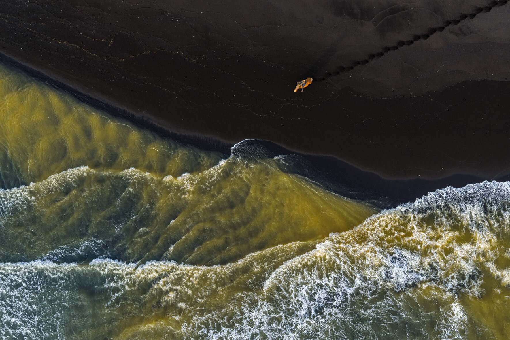 Aerial view of horse on black volcanic sand beach in Iceland beside yellow glacial waves