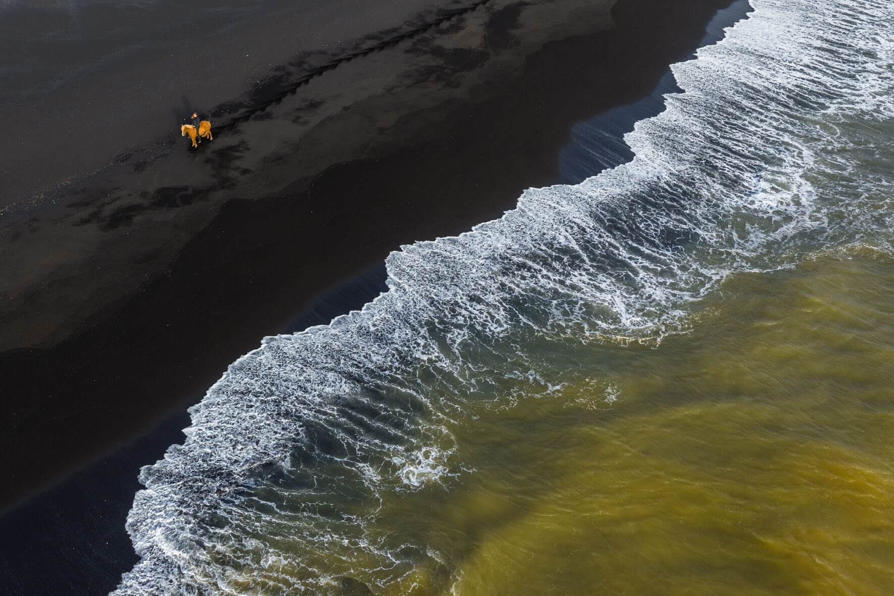 Aerial view of horse walking across black sand beach in Iceland surrounded by sediment rich waves