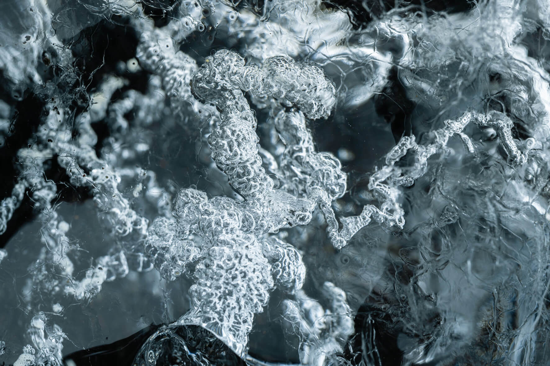 Macro of glacial ice showing trapped air bubbles on Diamond Beach in Iceland