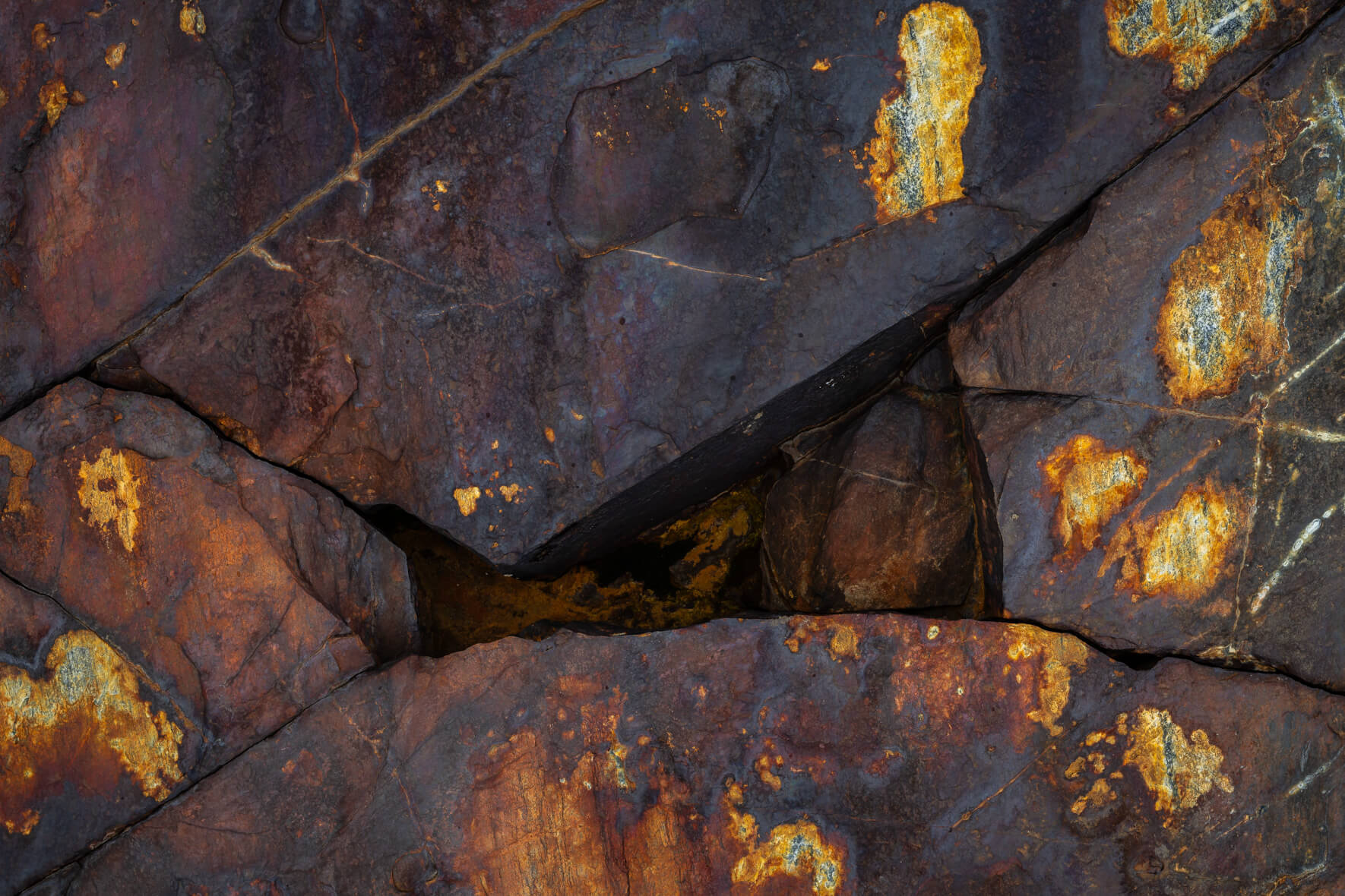 Layered metamorphic rock with fine striations and warm gray hues