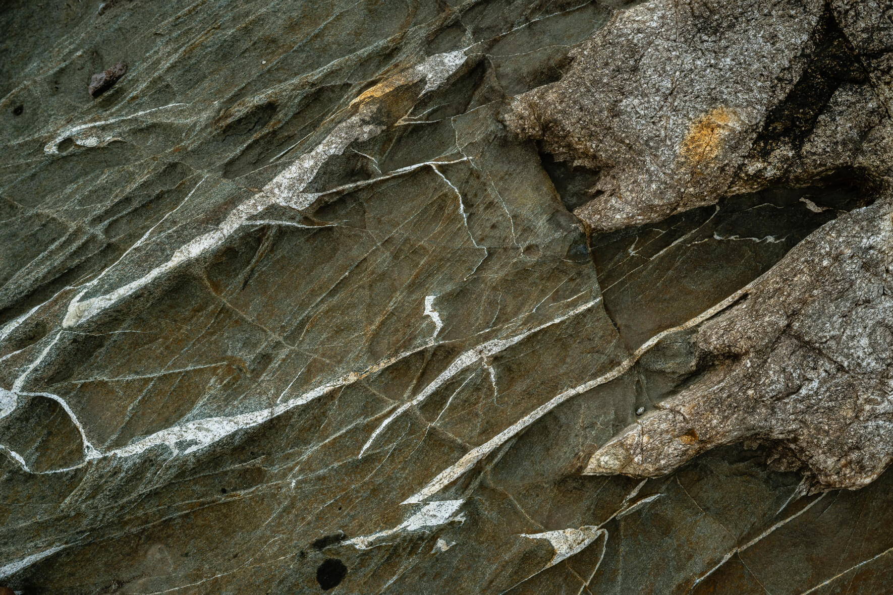 Folded metamorphic layers with metallic reflections and soft contrasts